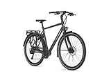 GAZELLE Chamonix T20 HEREN Thunder Grey Mat 57cm 2024