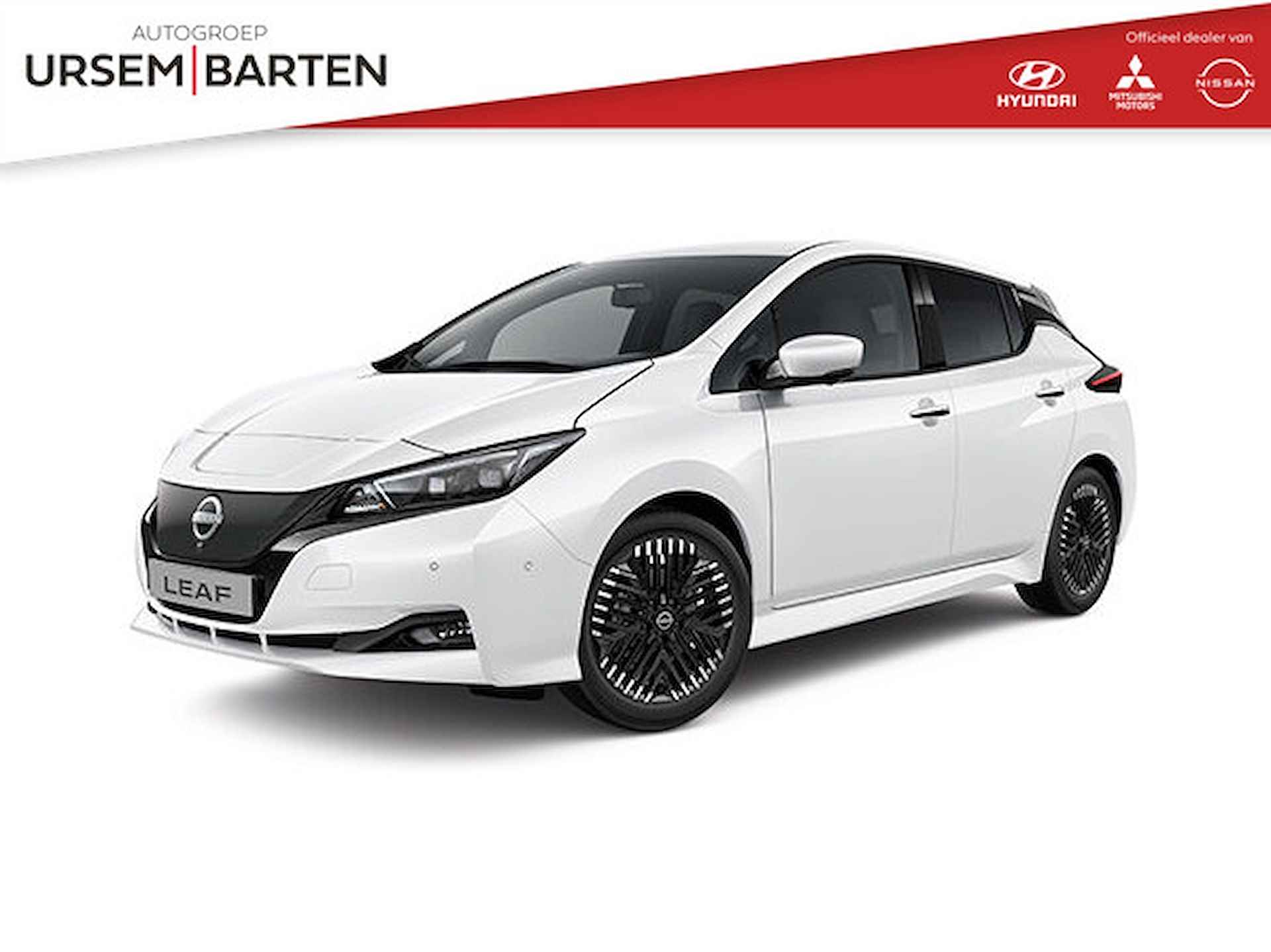 Nissan Leaf BOVAG 40-Puntencheck