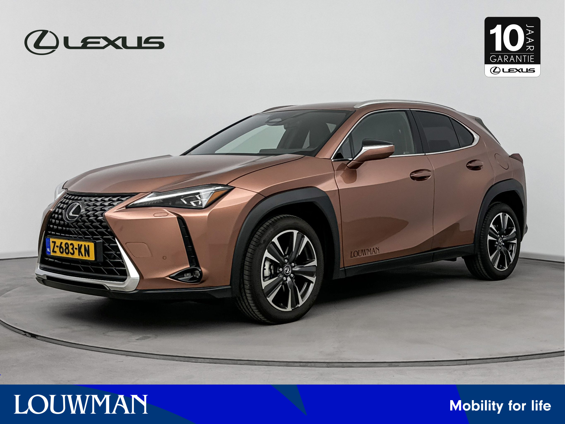 Lexus UX 300h Luxury Line | Head Up Display | Blind Spot Monitor |