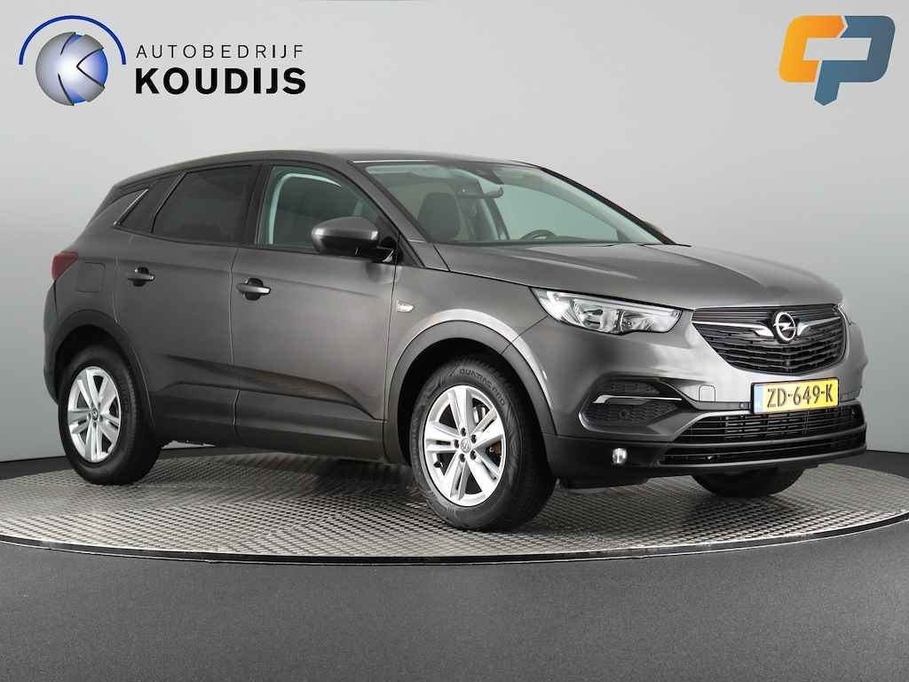 Opel Grandland X BOVAG 40-Puntencheck