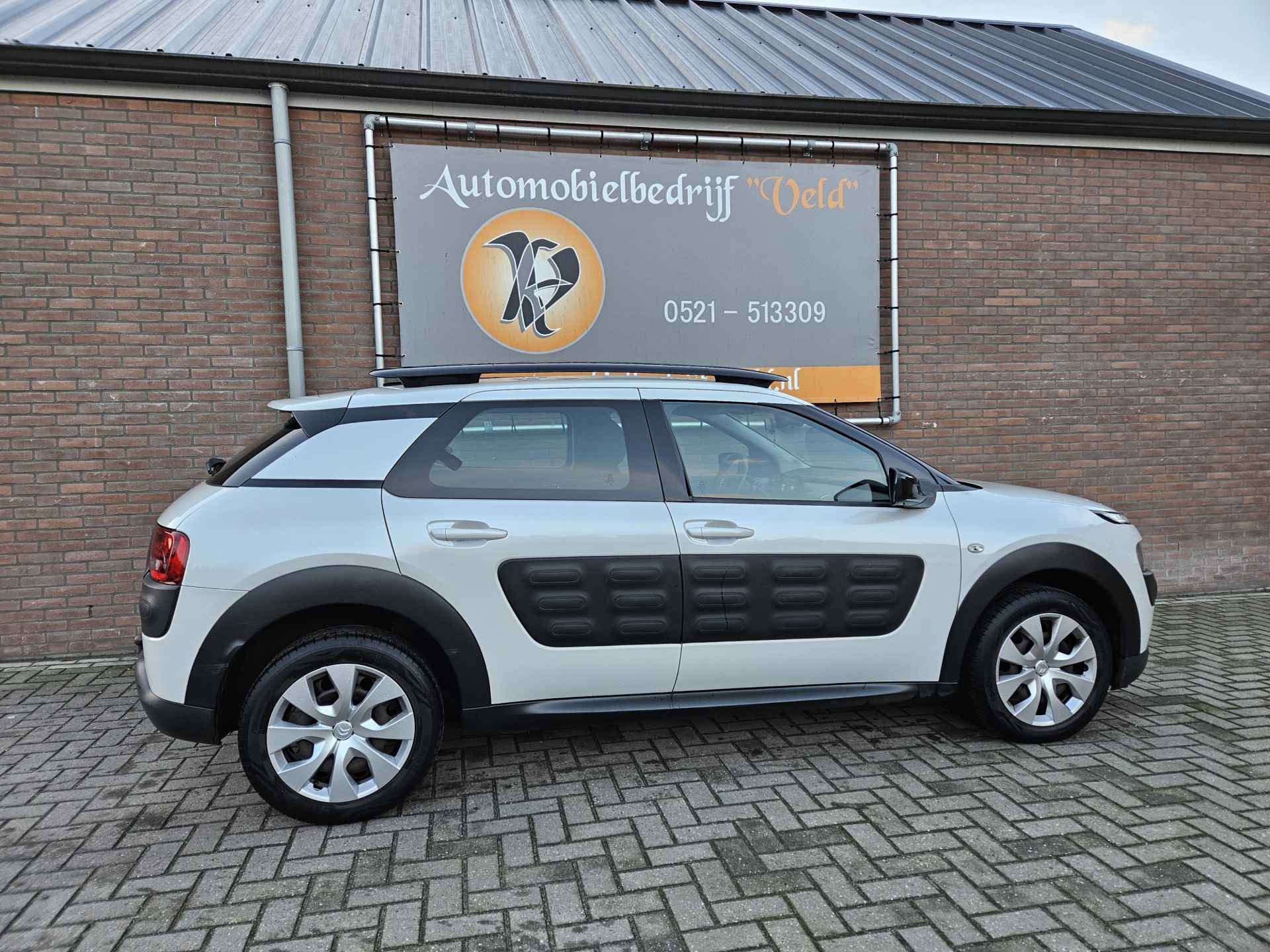 Citroën C4 Cactus 1.2 PureTech Business - 25/29