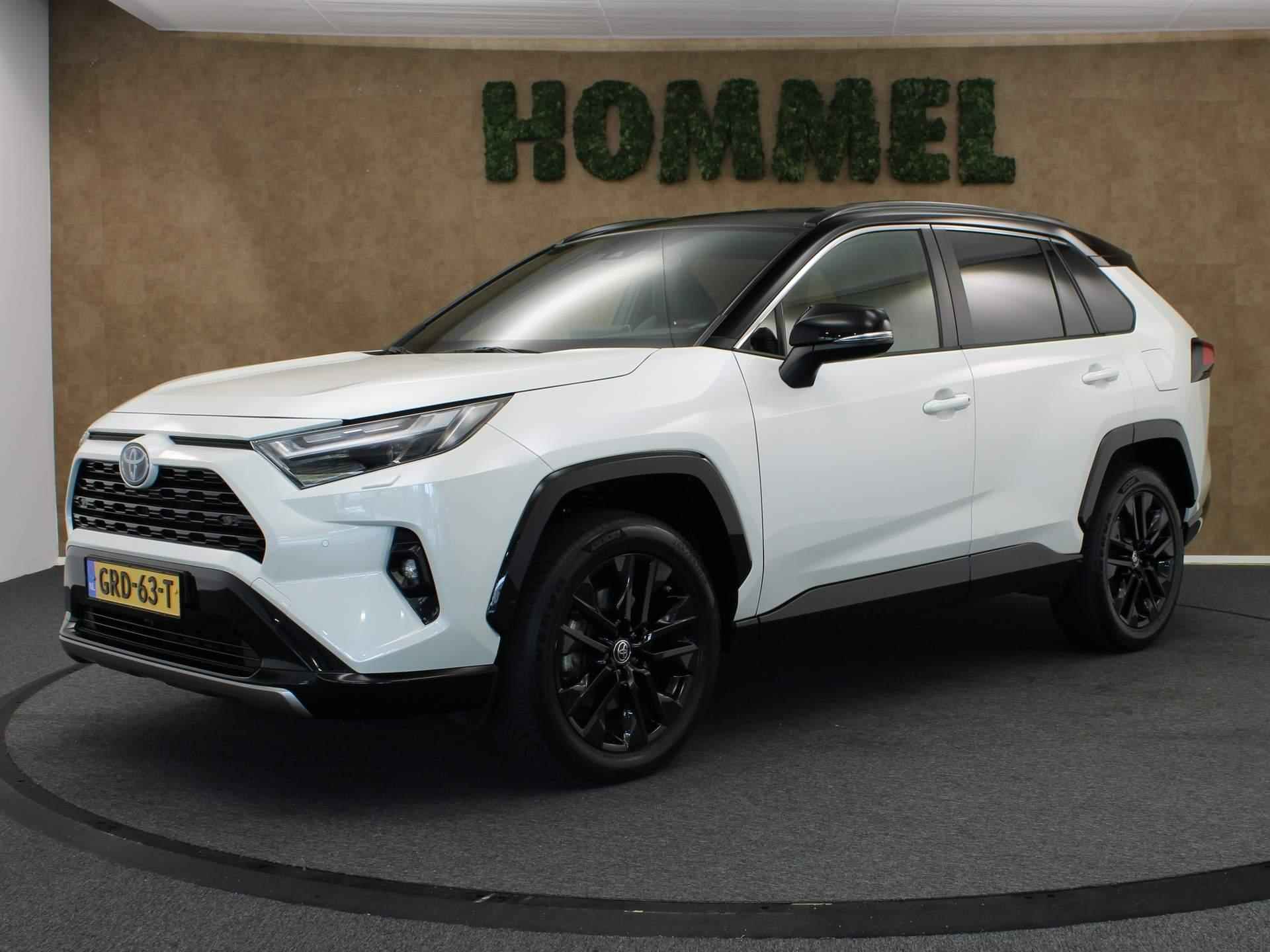 Toyota RAV4 BOVAG 40-Puntencheck