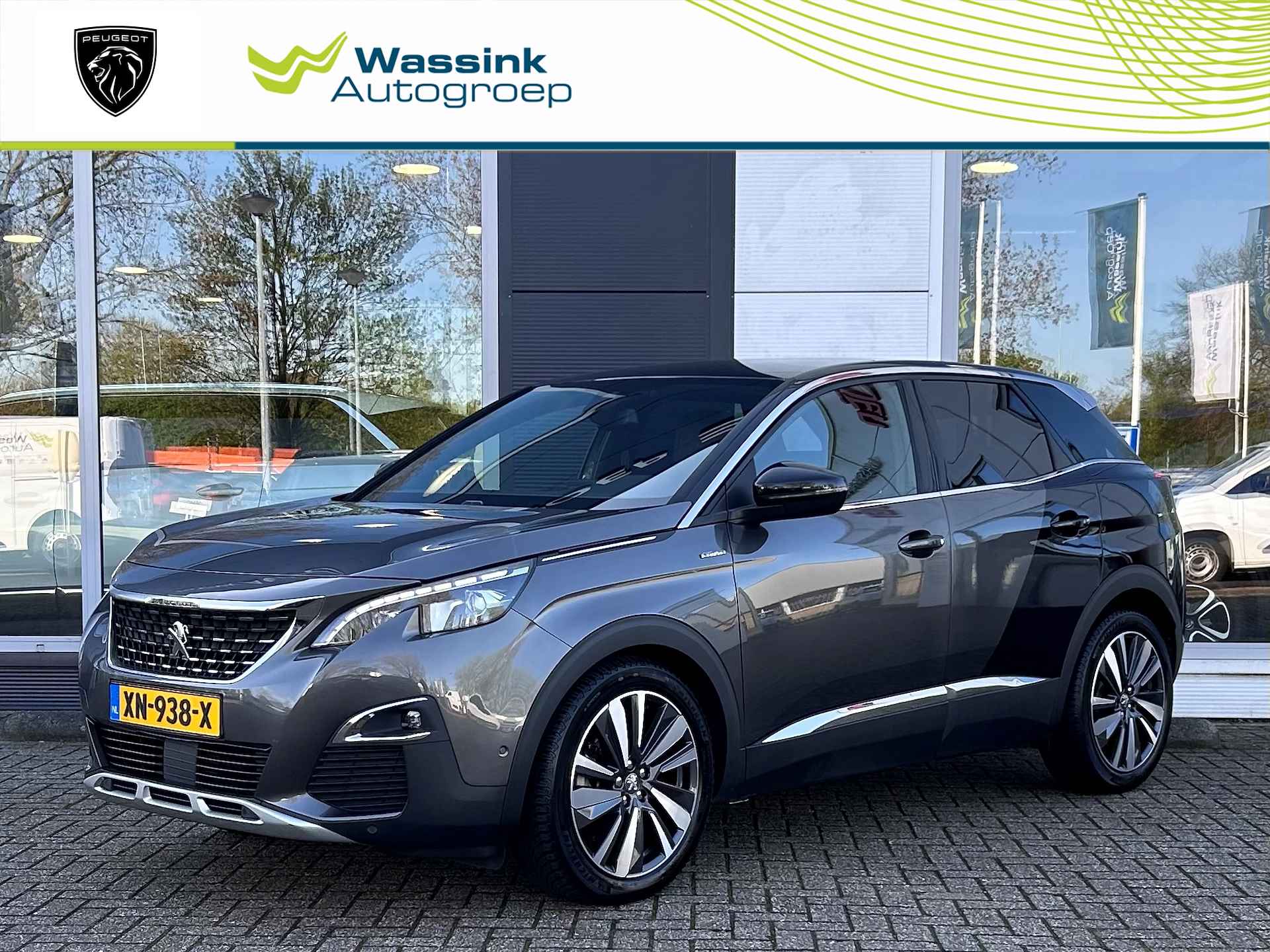 Peugeot 3008 BOVAG 40-Puntencheck