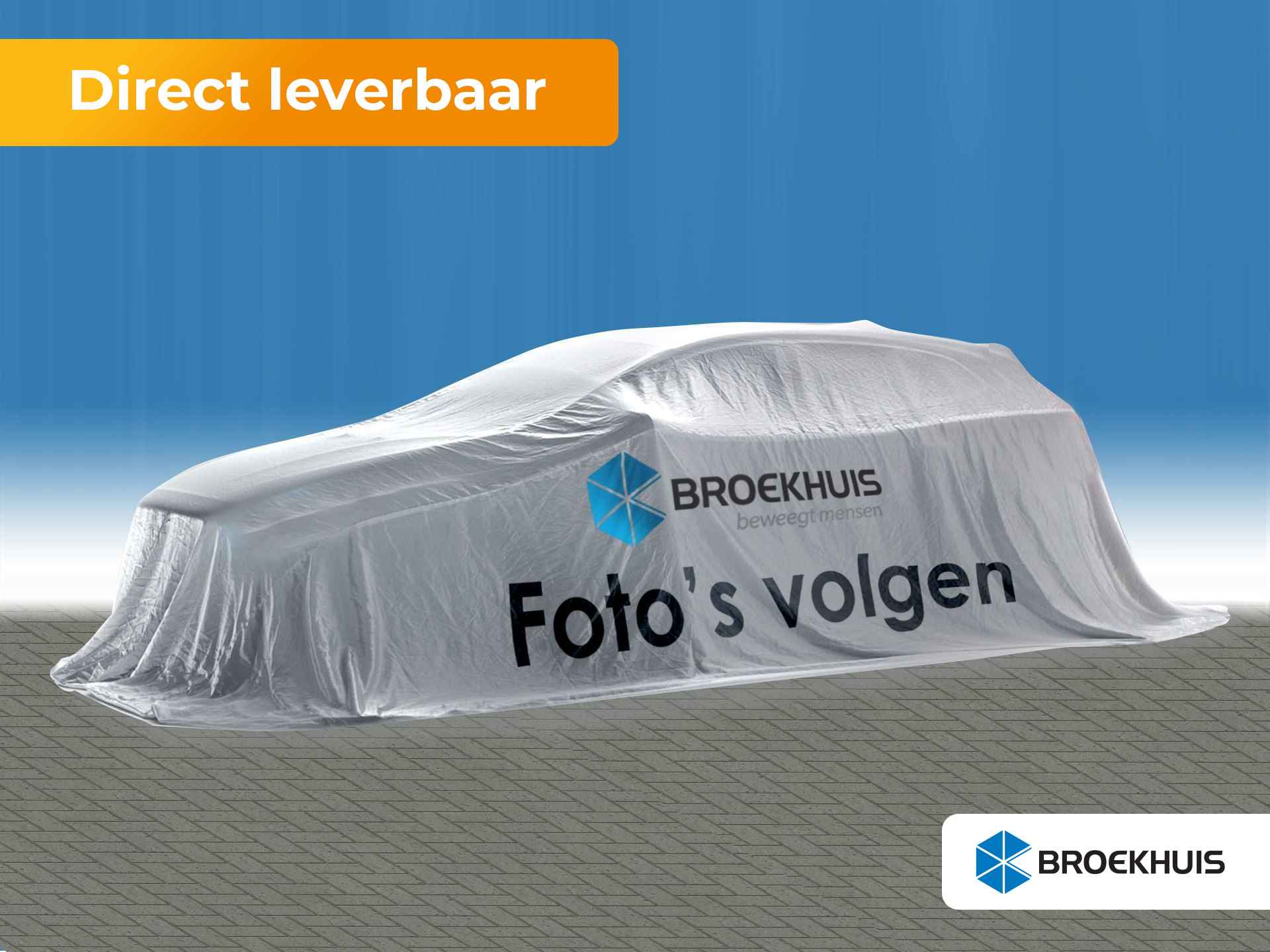 Peugeot 2008 BOVAG 40-Puntencheck