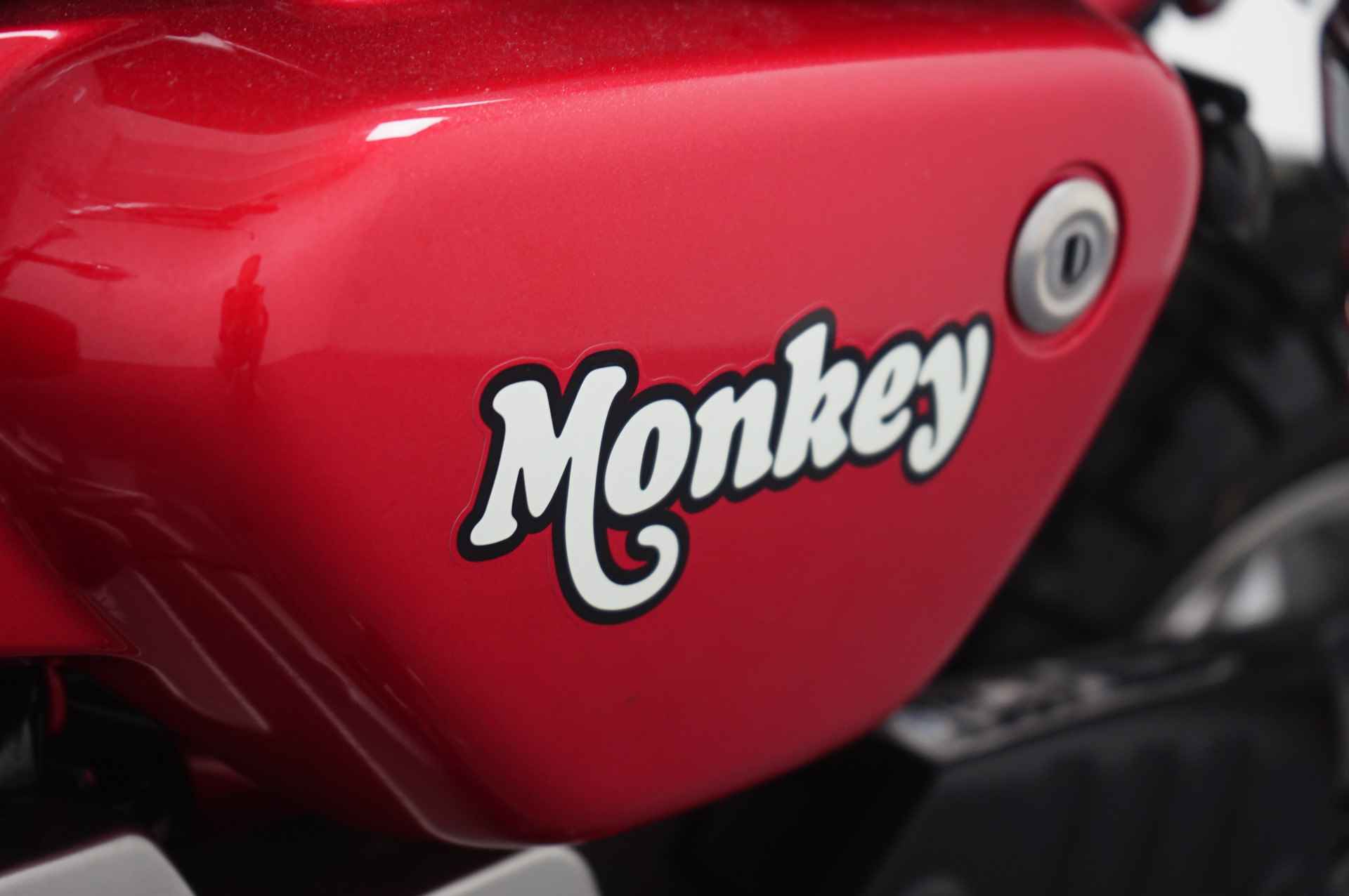 Honda MONKEY Z 125 - 12/19