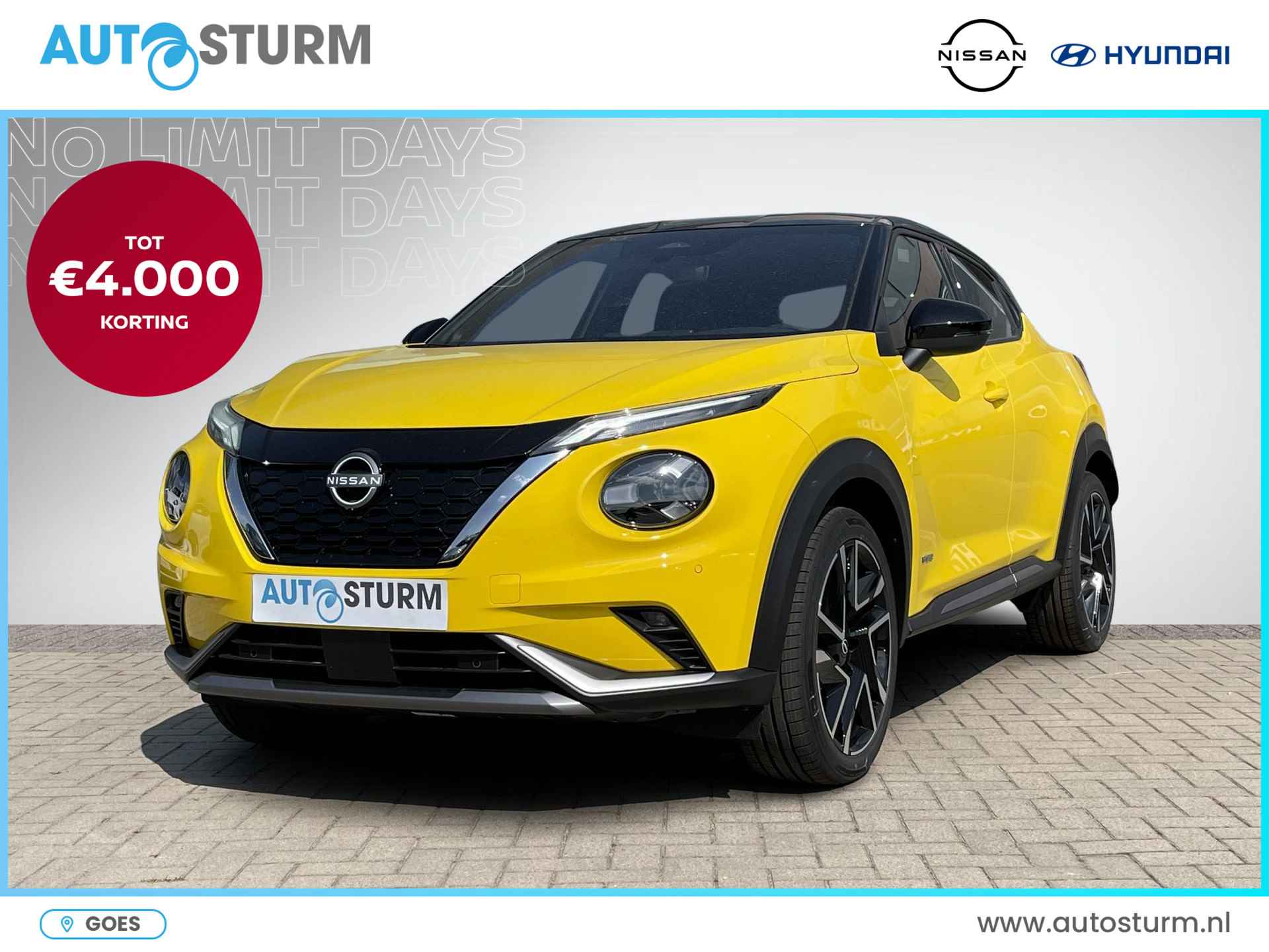 Nissan Juke BOVAG 40-Puntencheck