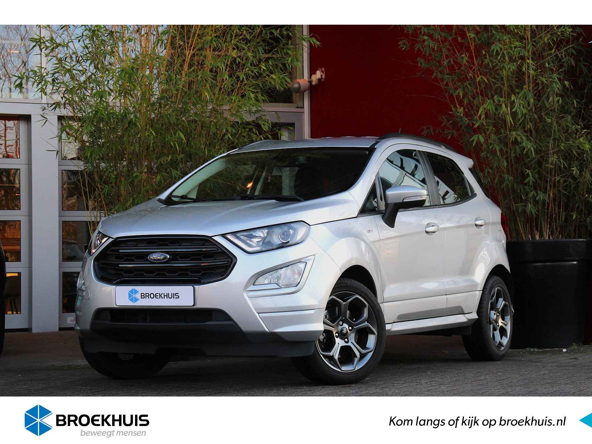 Ford EcoSport BOVAG 40-Puntencheck