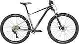 CANNONDALE 29 M Trail SE 4 GRY MD Heren Gry Md MD 2021