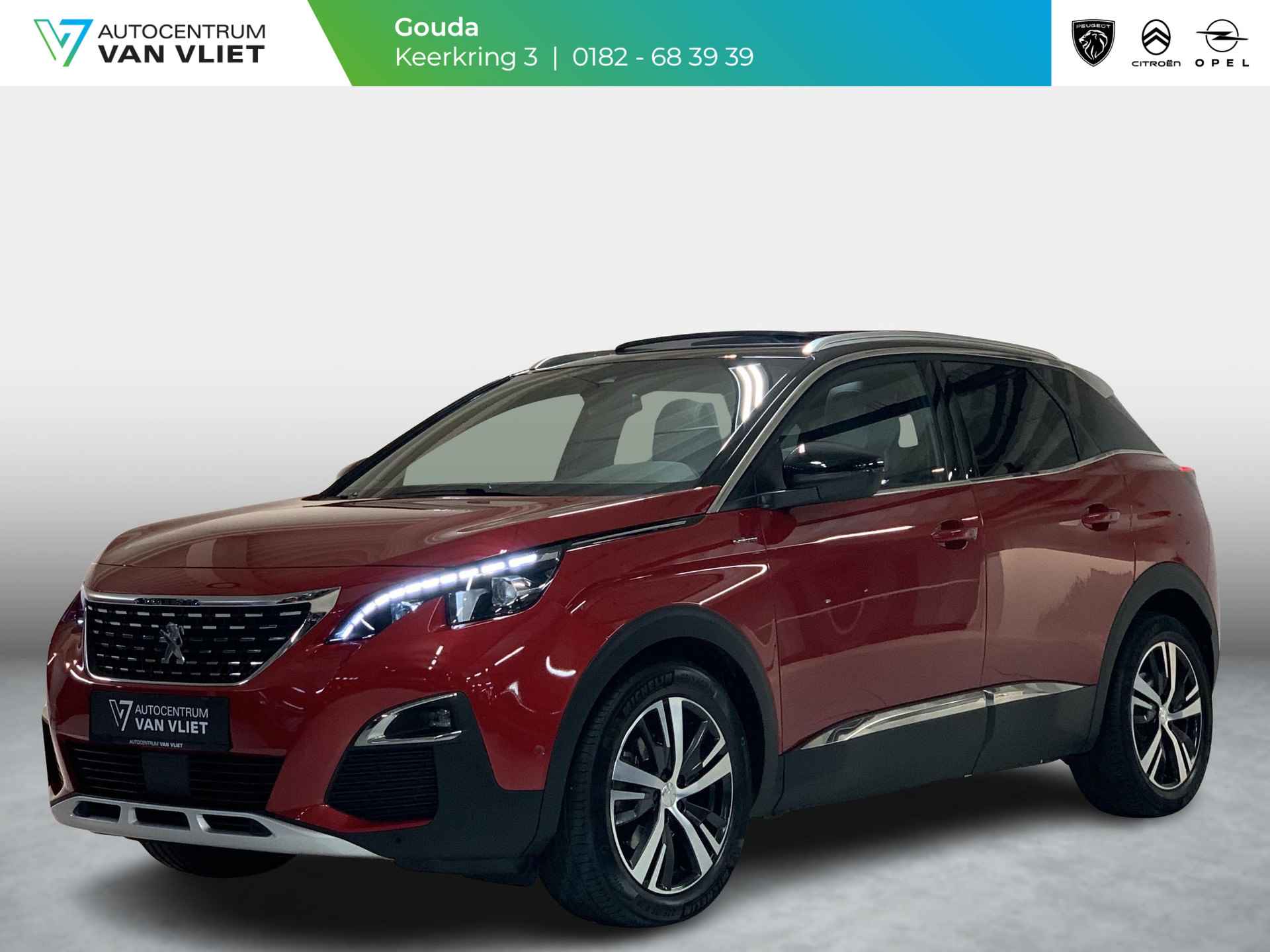 Peugeot 3008 BOVAG 40-Puntencheck