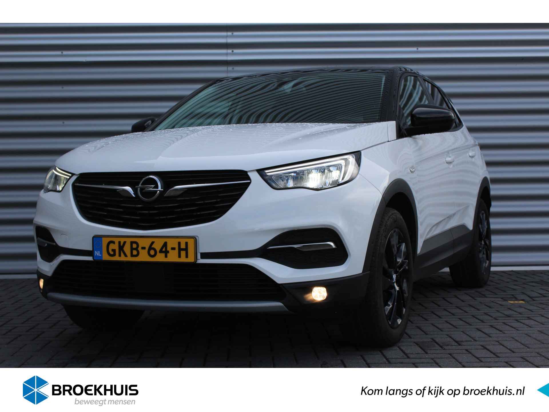 Opel Grandland X BOVAG 40-Puntencheck