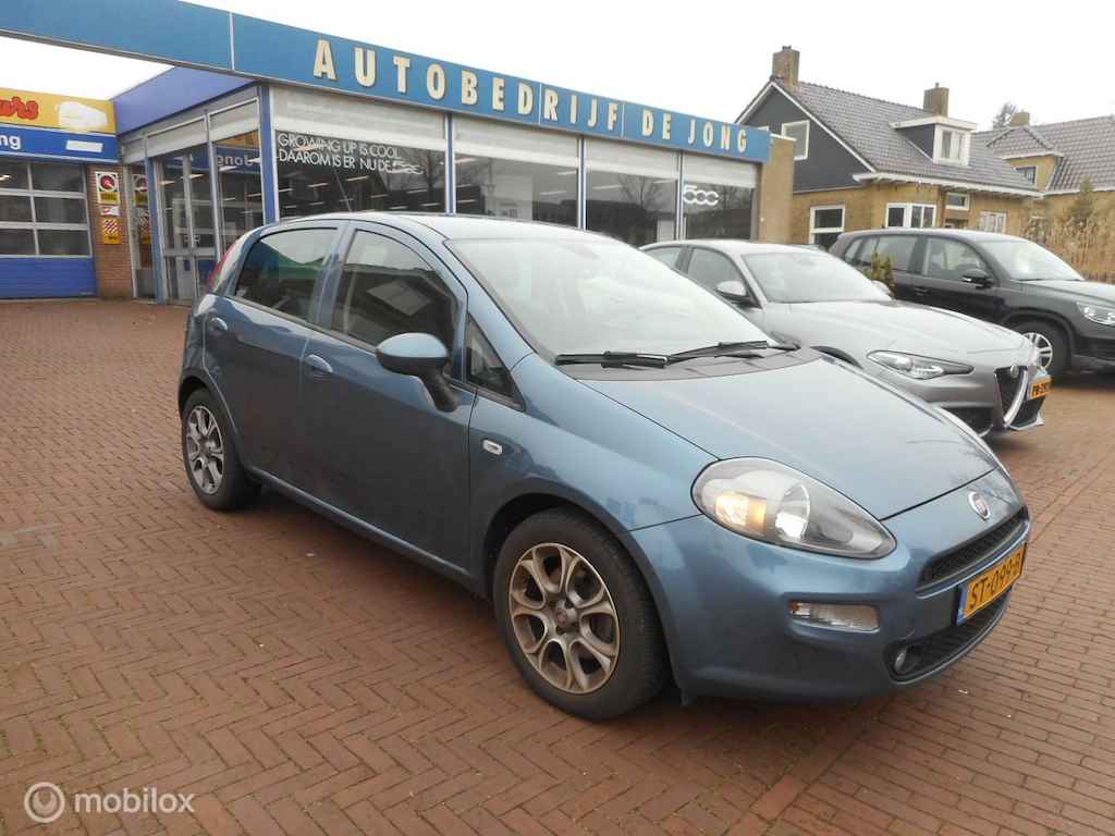 Fiat Punto BOVAG 40-Puntencheck