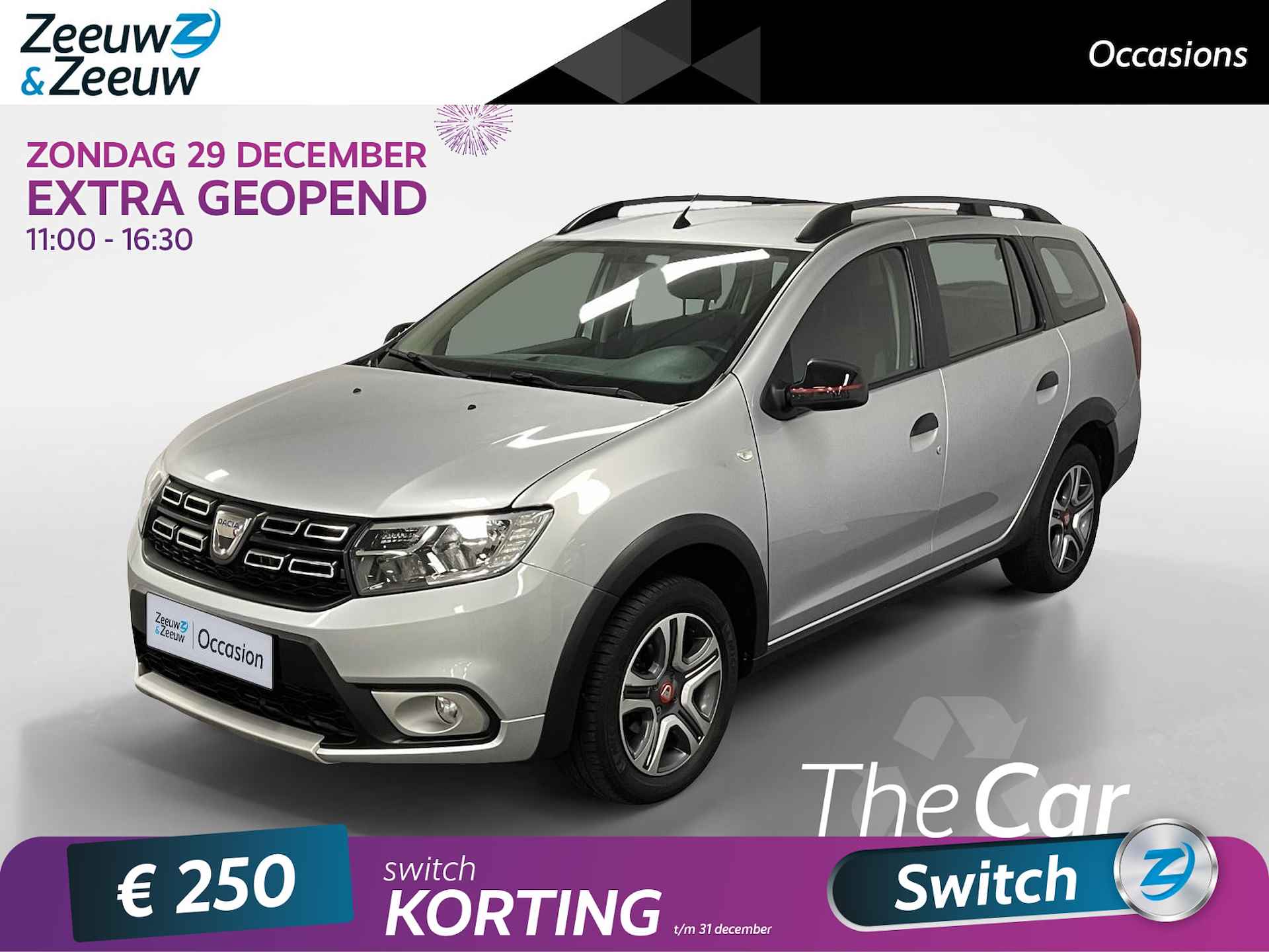 Dacia Logan BOVAG 40-Puntencheck