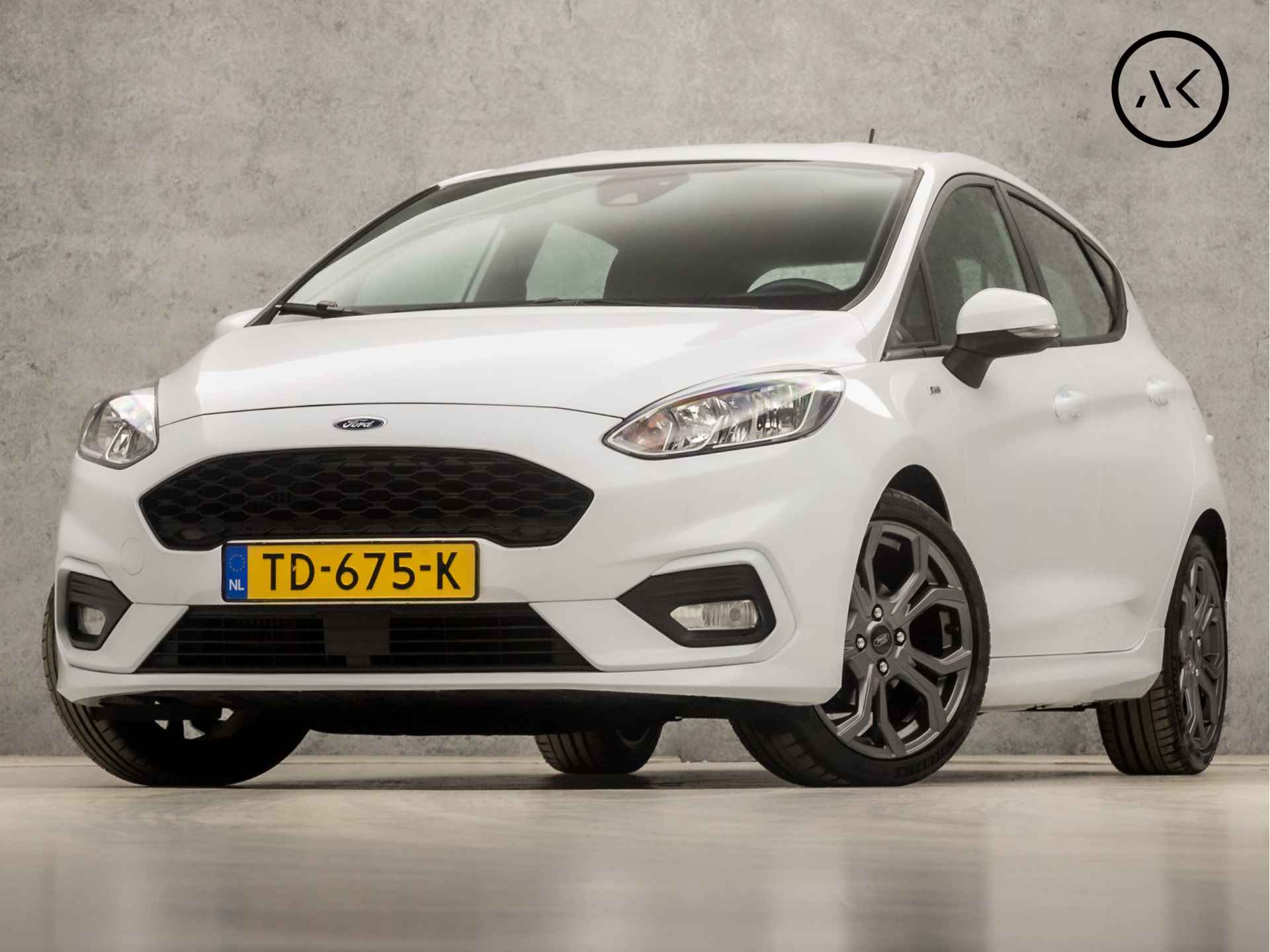 Ford Fiesta BOVAG 40-Puntencheck