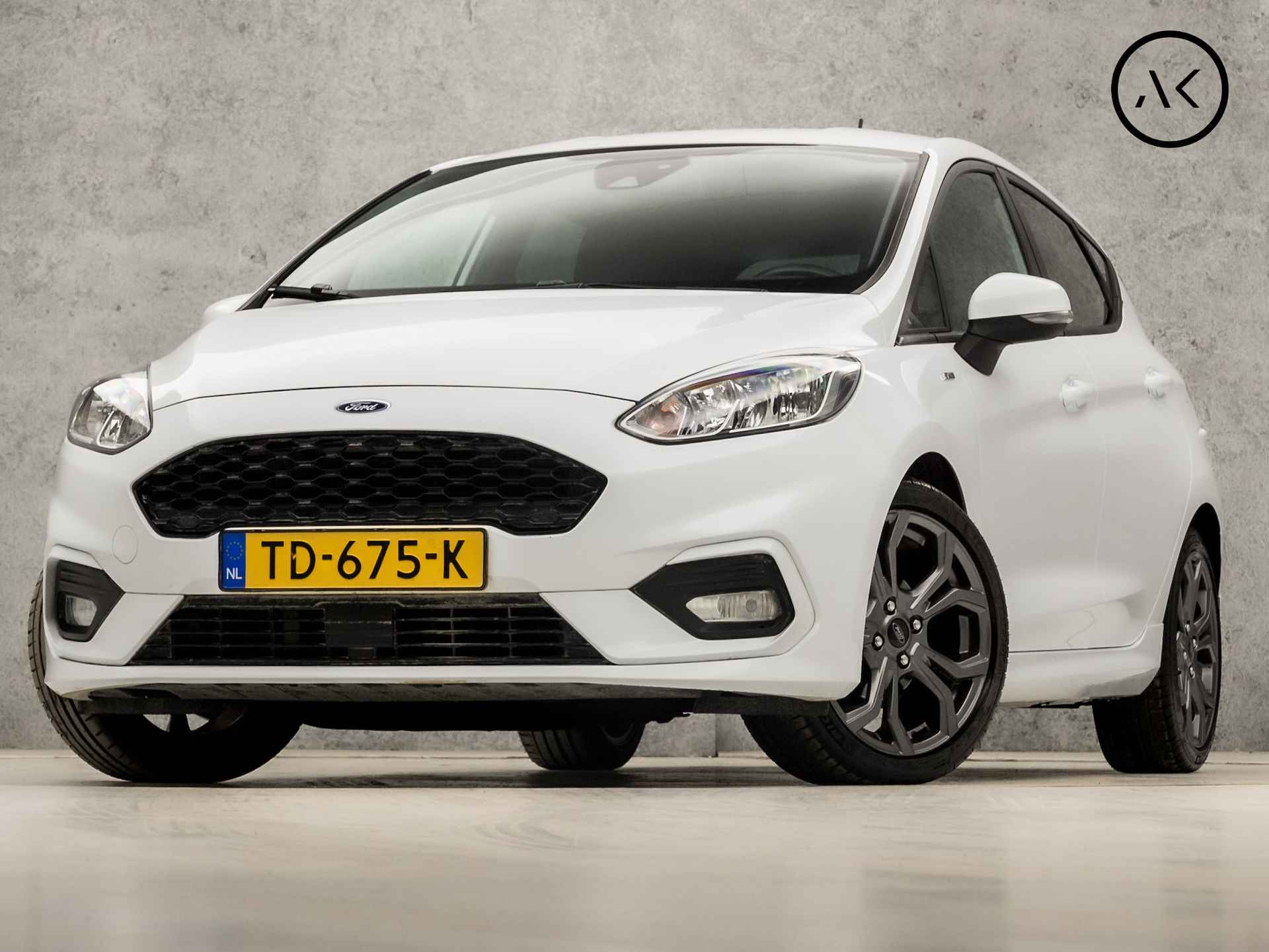 Ford Fiesta BOVAG 40-Puntencheck