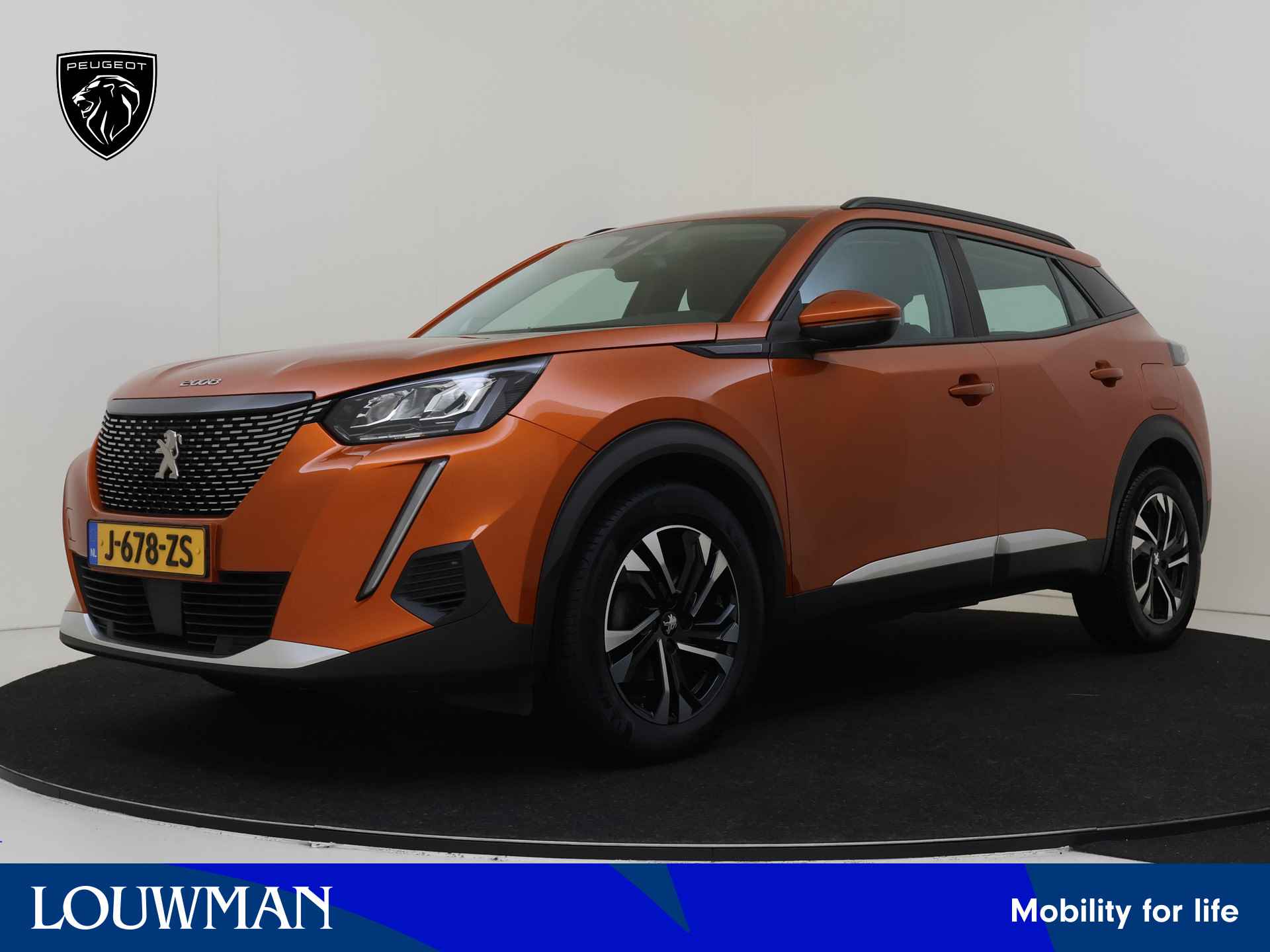 Peugeot 2008 BOVAG 40-Puntencheck