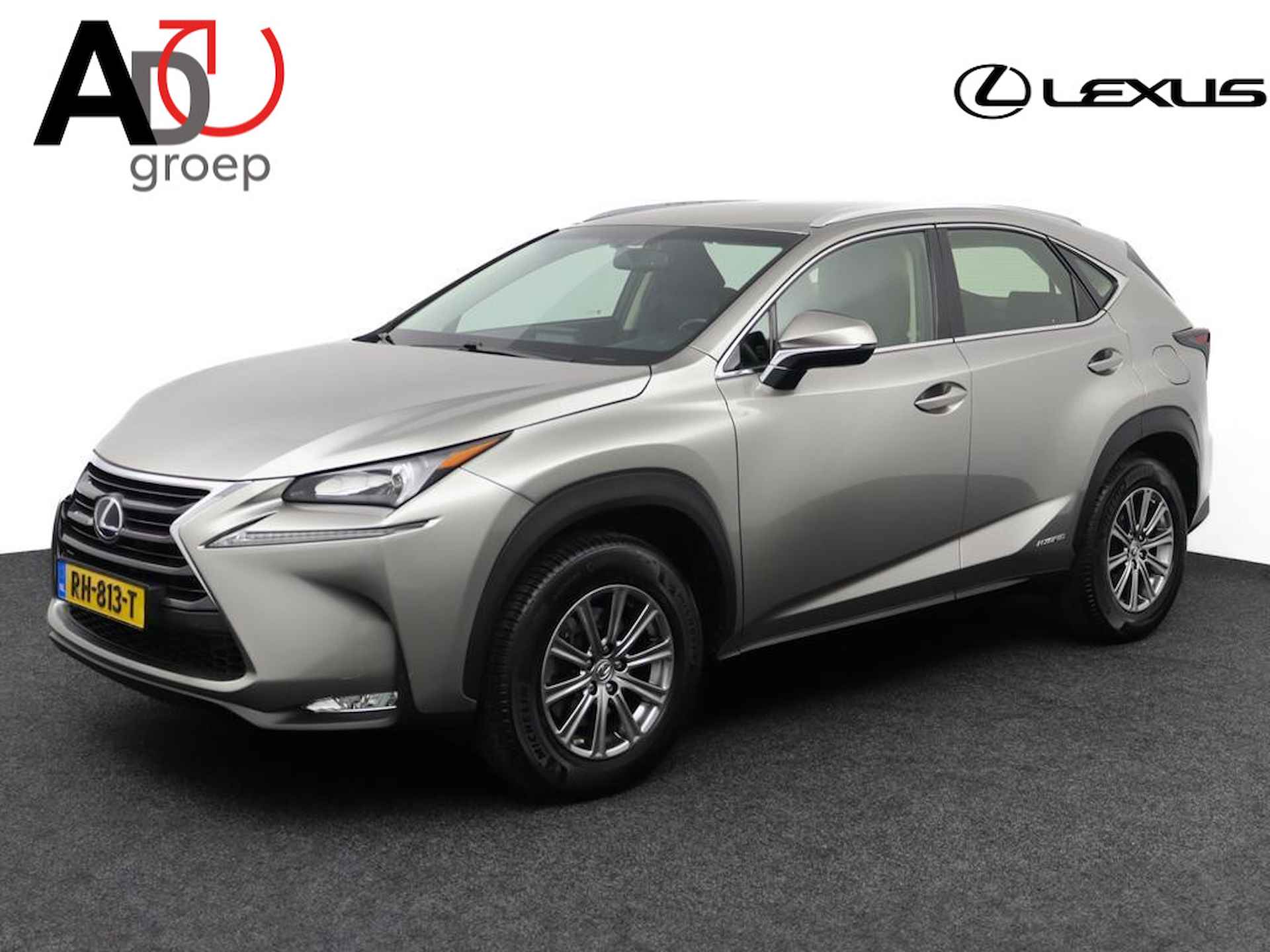 Lexus NX BOVAG 40-Puntencheck