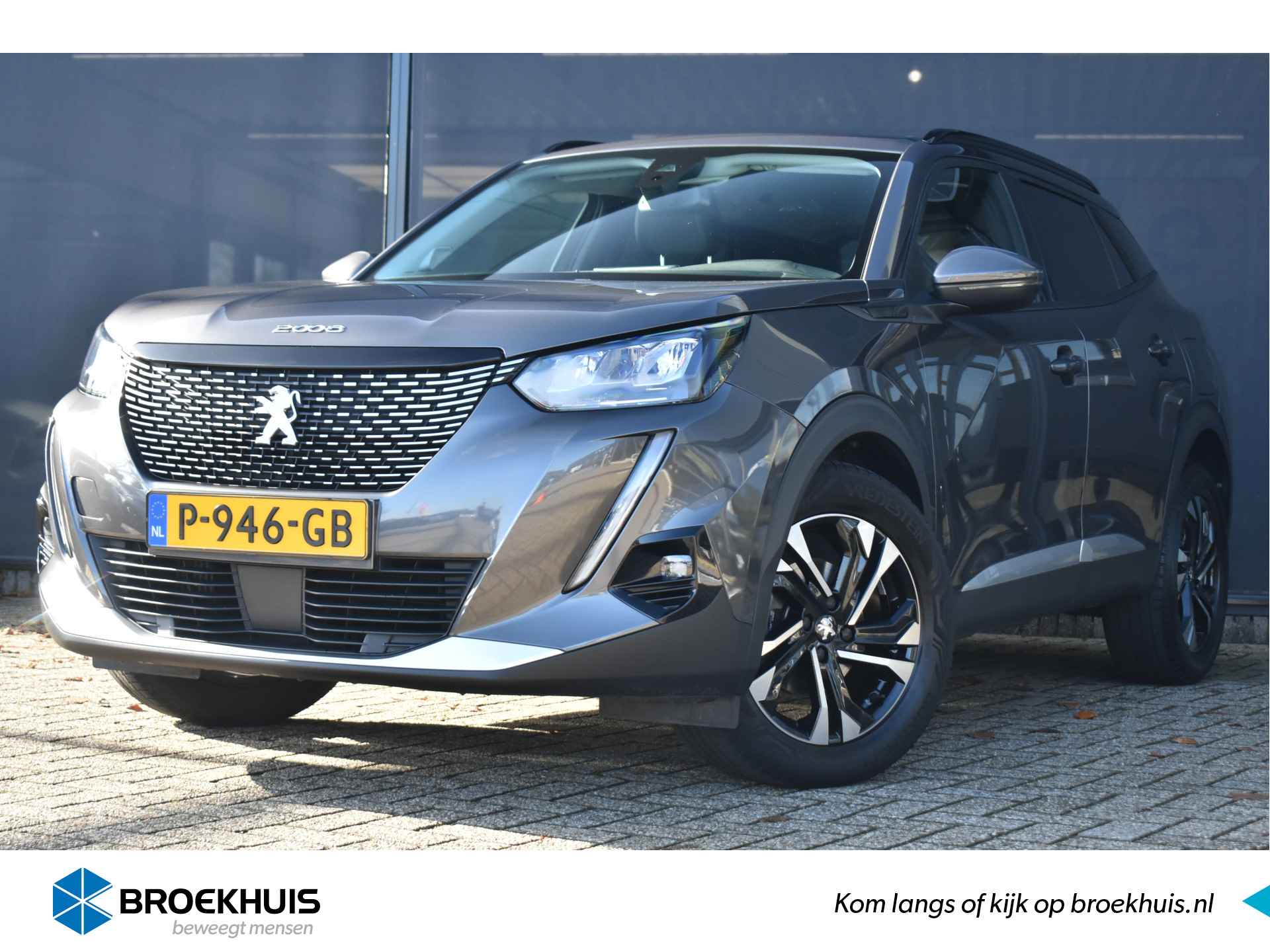 Peugeot 2008 BOVAG 40-Puntencheck