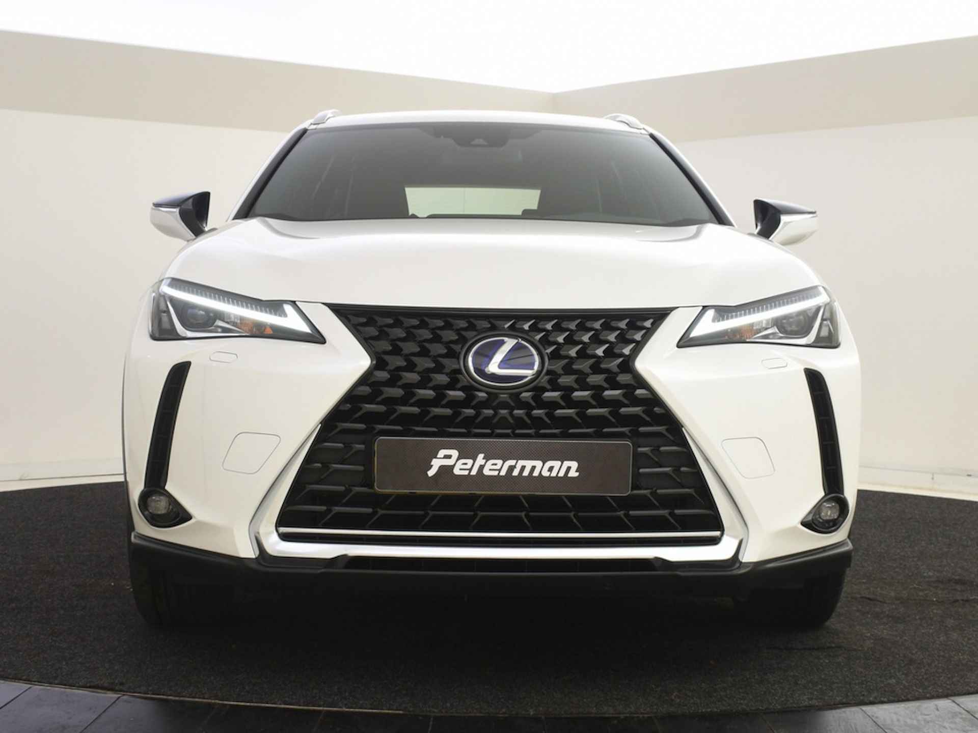 Lexus UX 300e Business 54 kWh | Electrische stoelbediening - 6/28