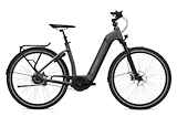 Flyer Gotour6 7.20 Comfort L Nex 5 Dames Anthracite Gloss L 2023