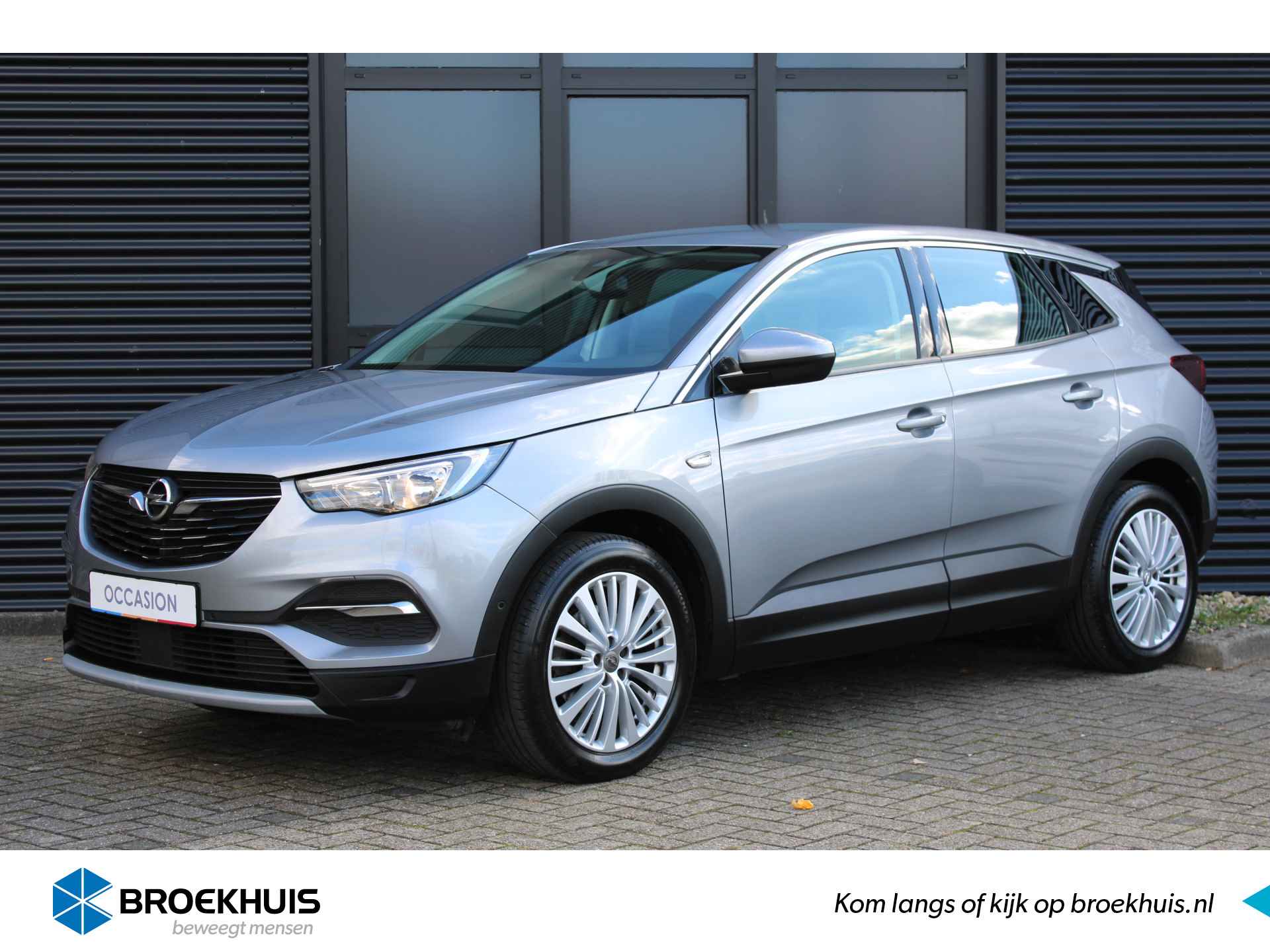 Opel Grandland X BOVAG 40-Puntencheck