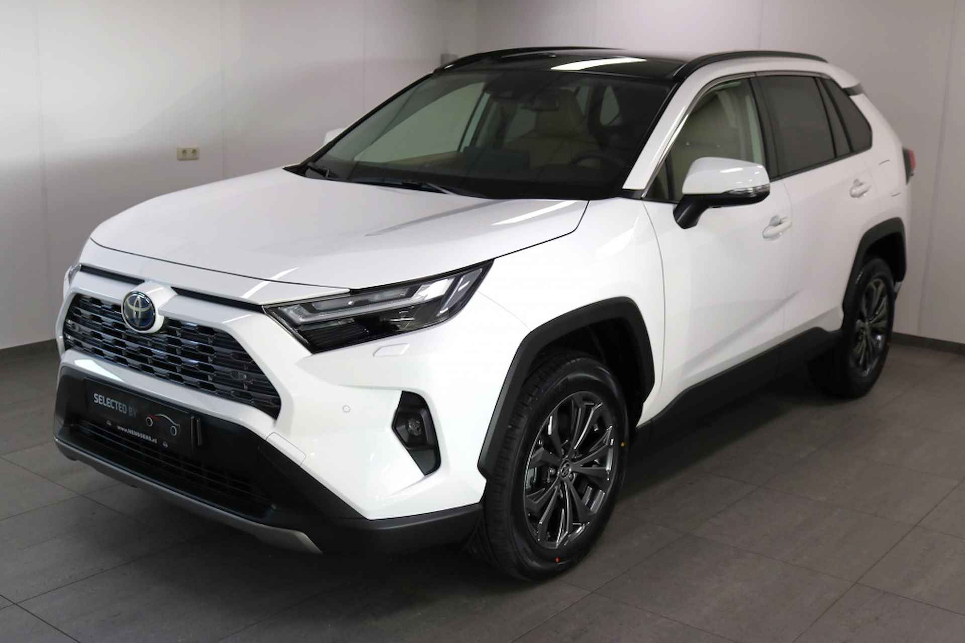 Toyota RAV4 BOVAG 40-Puntencheck