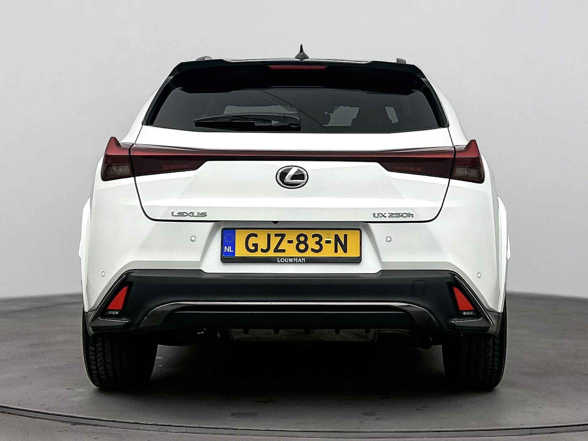 Lexus UX 250h F Sport Line | Mark Levinson | Open dak | Head Up Display | Full option! | - 17/44