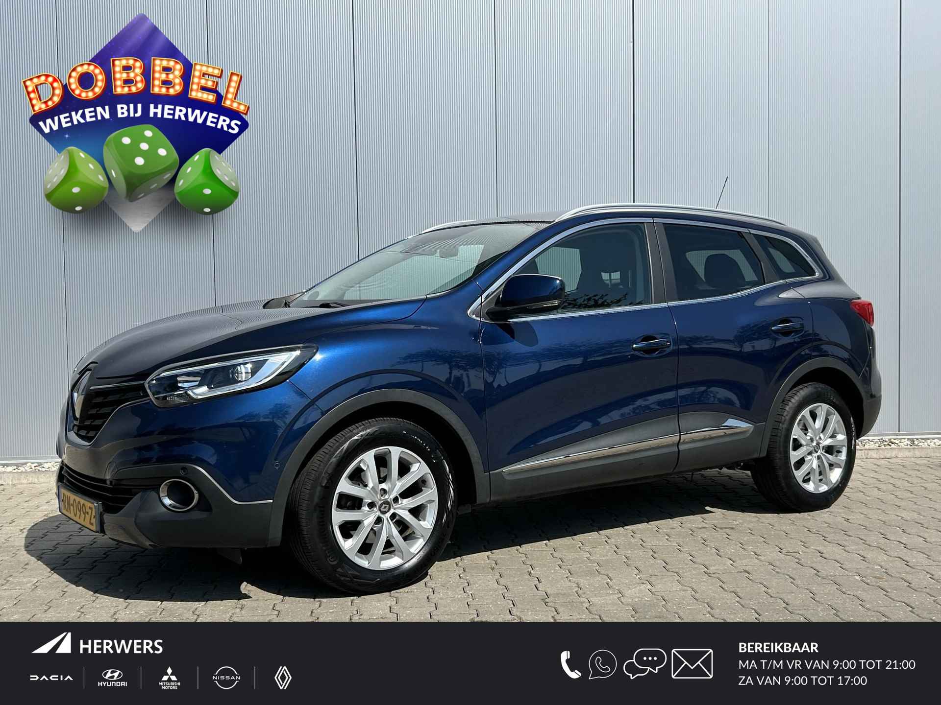 Renault Kadjar BOVAG 40-Puntencheck