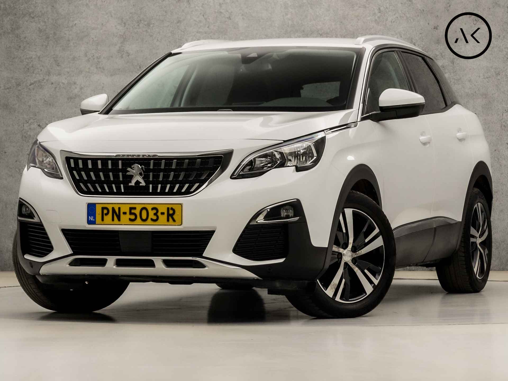 Peugeot 3008 BOVAG 40-Puntencheck