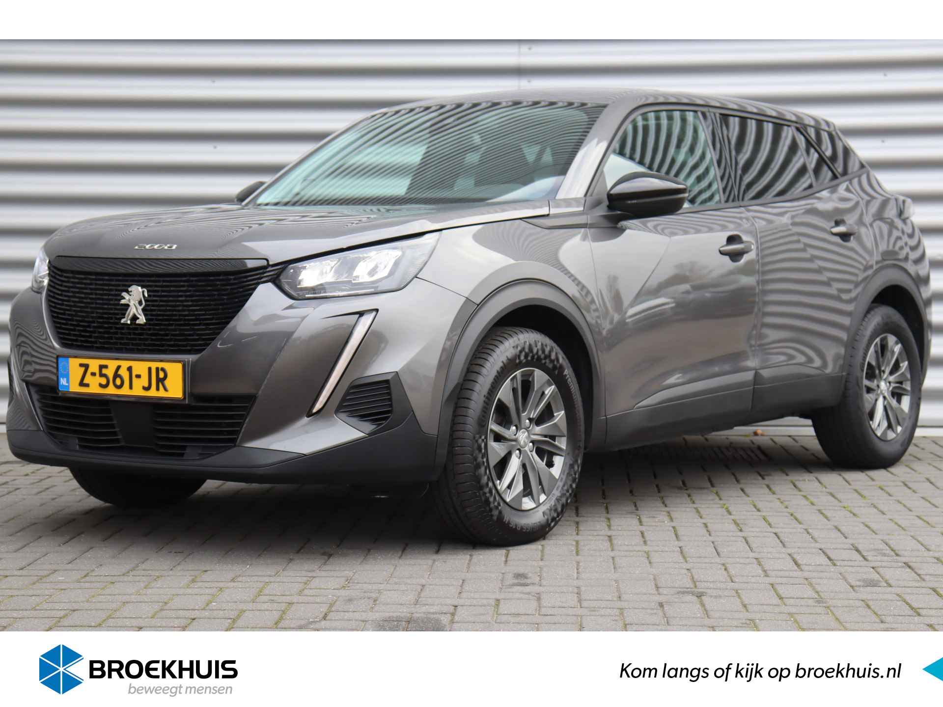 Peugeot 2008 BOVAG 40-Puntencheck