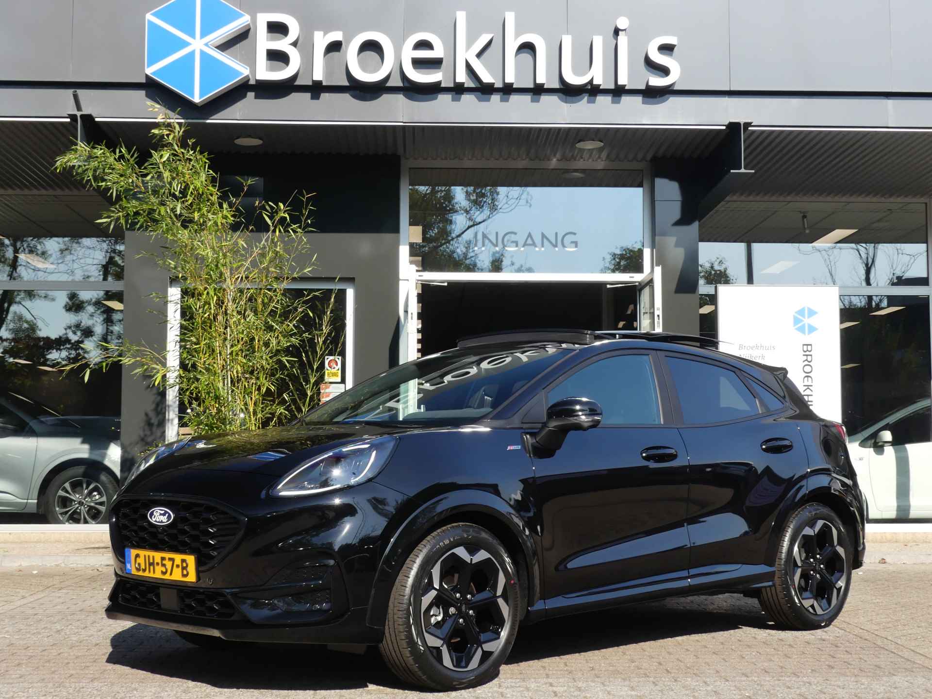 Ford Puma BOVAG 40-Puntencheck