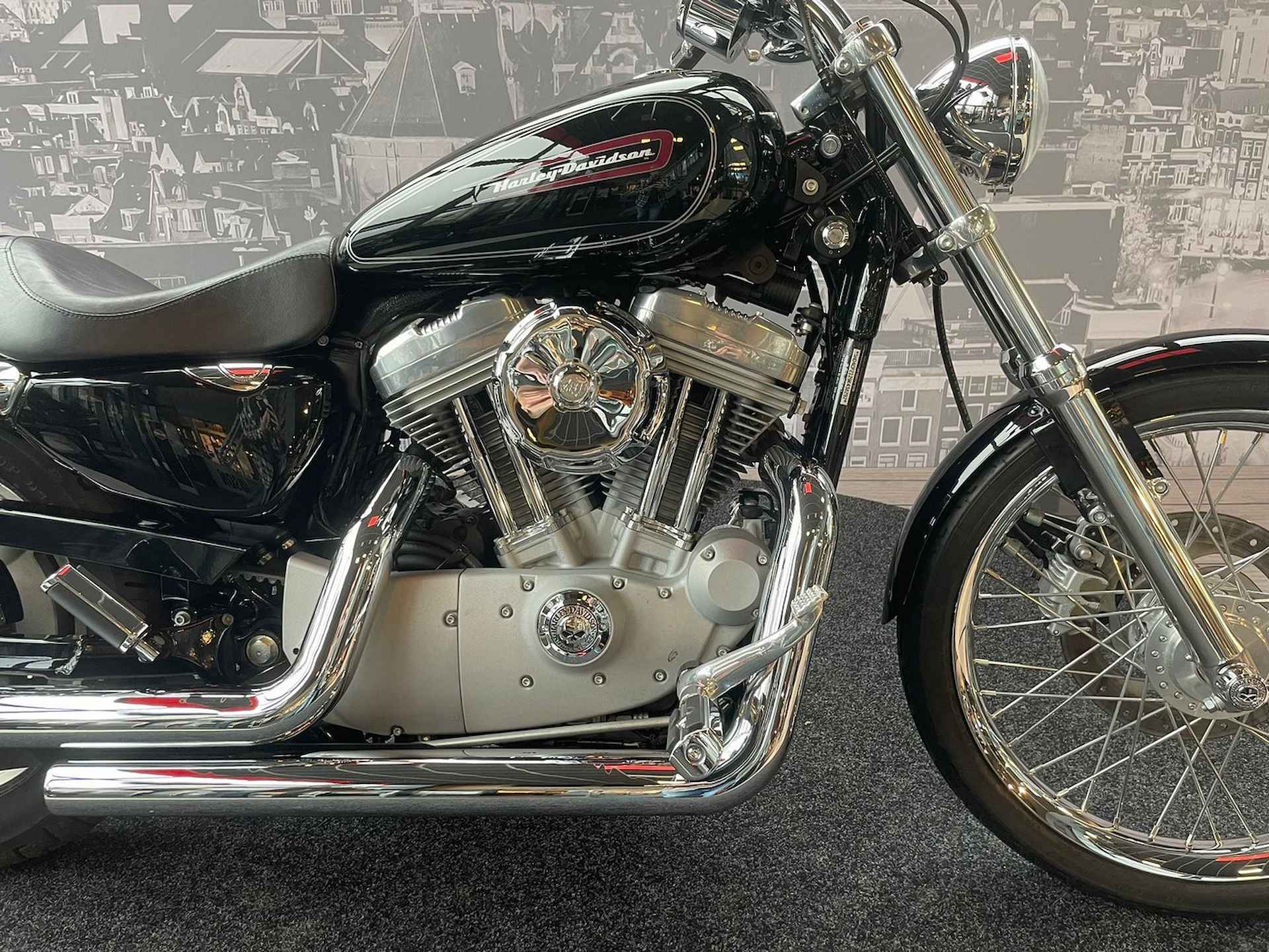 Harley-Davidson XL883C - 2/8