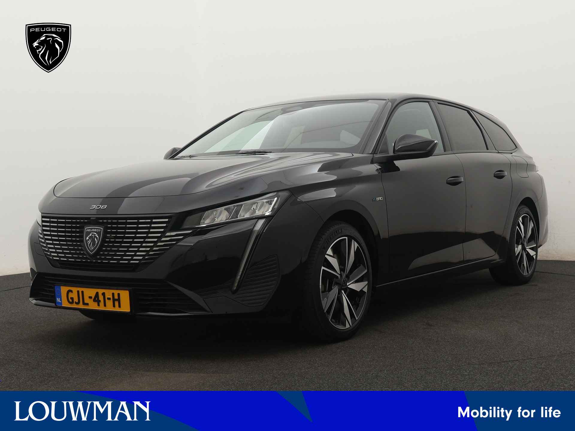 Peugeot 308 BOVAG 40-Puntencheck