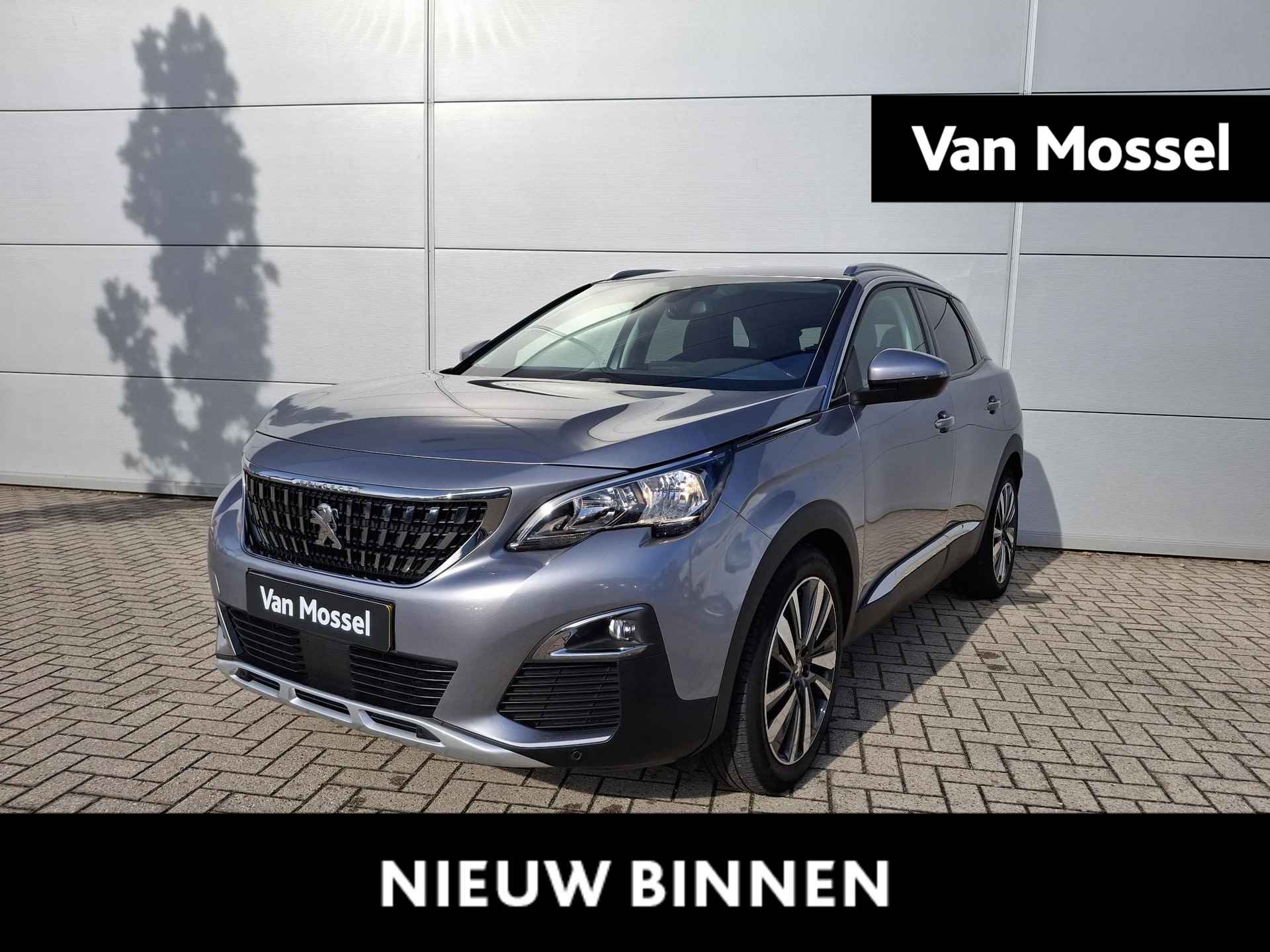 Peugeot 3008 BOVAG 40-Puntencheck