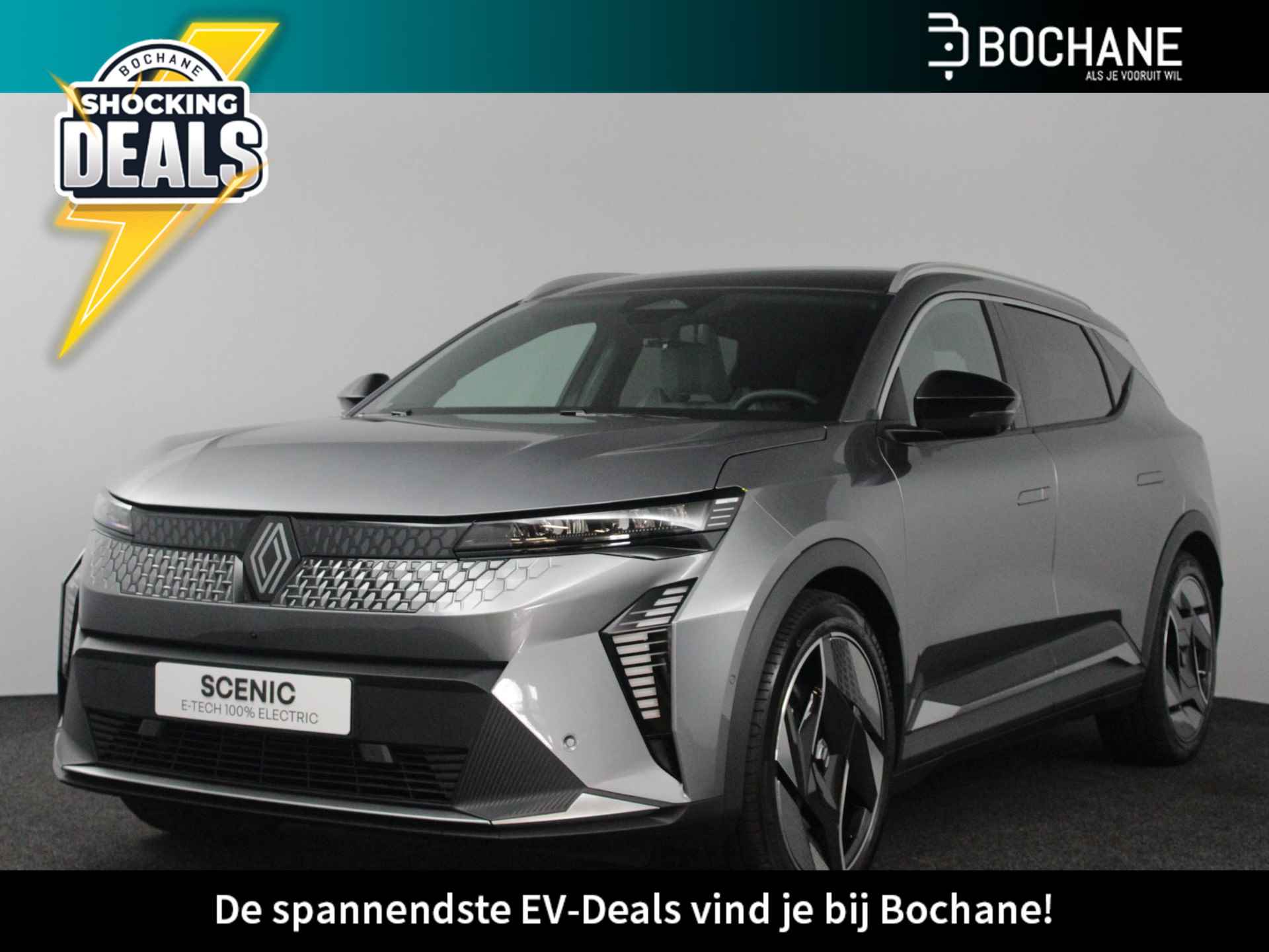 Renault Scénic BOVAG 40-Puntencheck