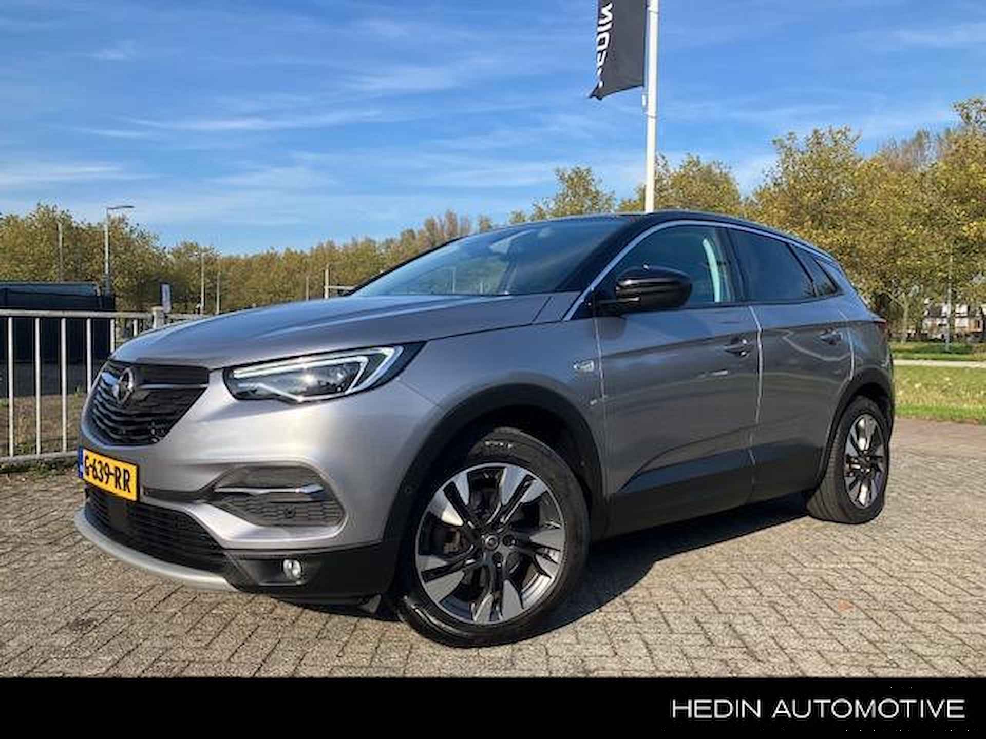 Opel Grandland X BOVAG 40-Puntencheck