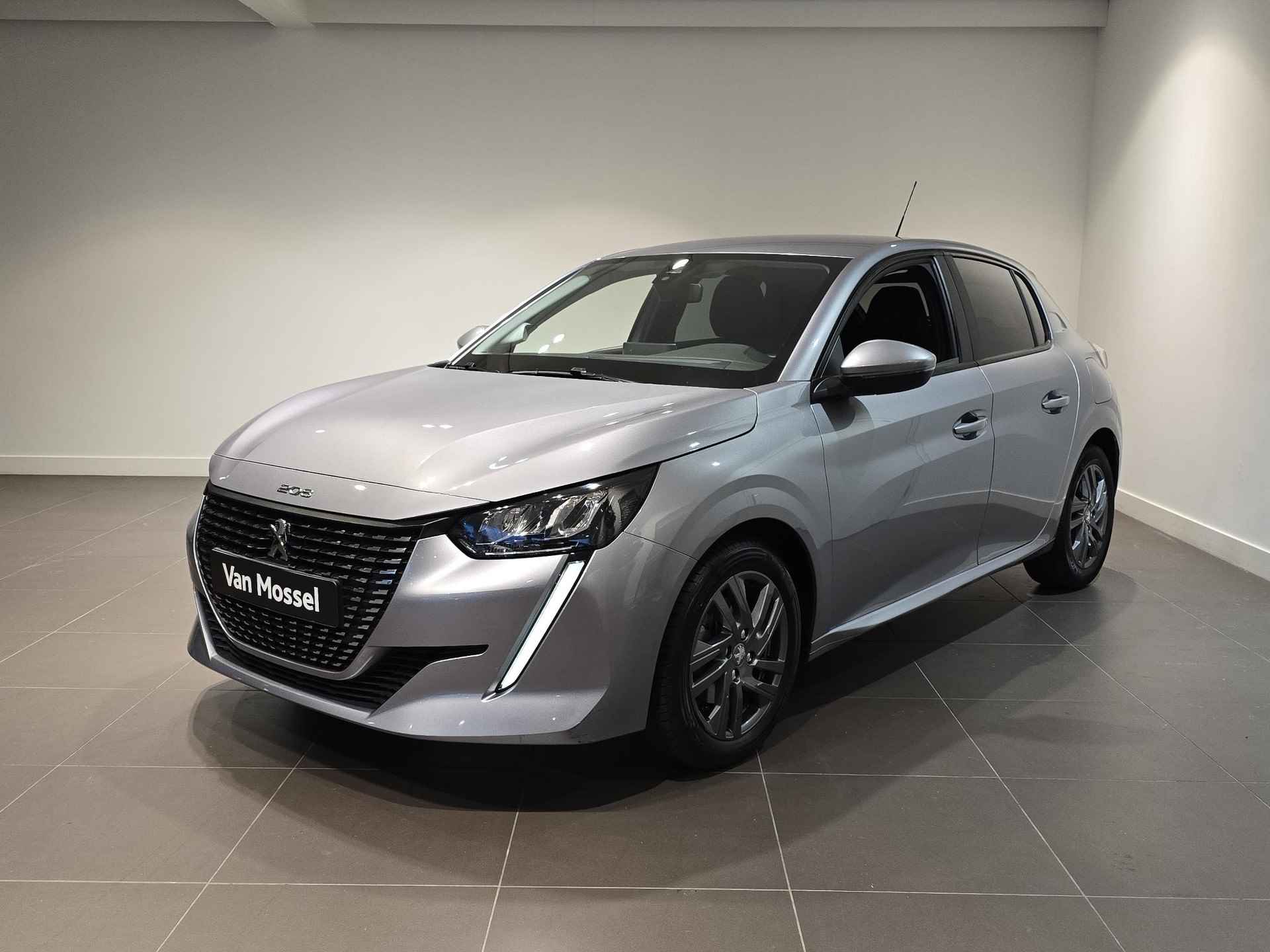 Peugeot 208 BOVAG 40-Puntencheck