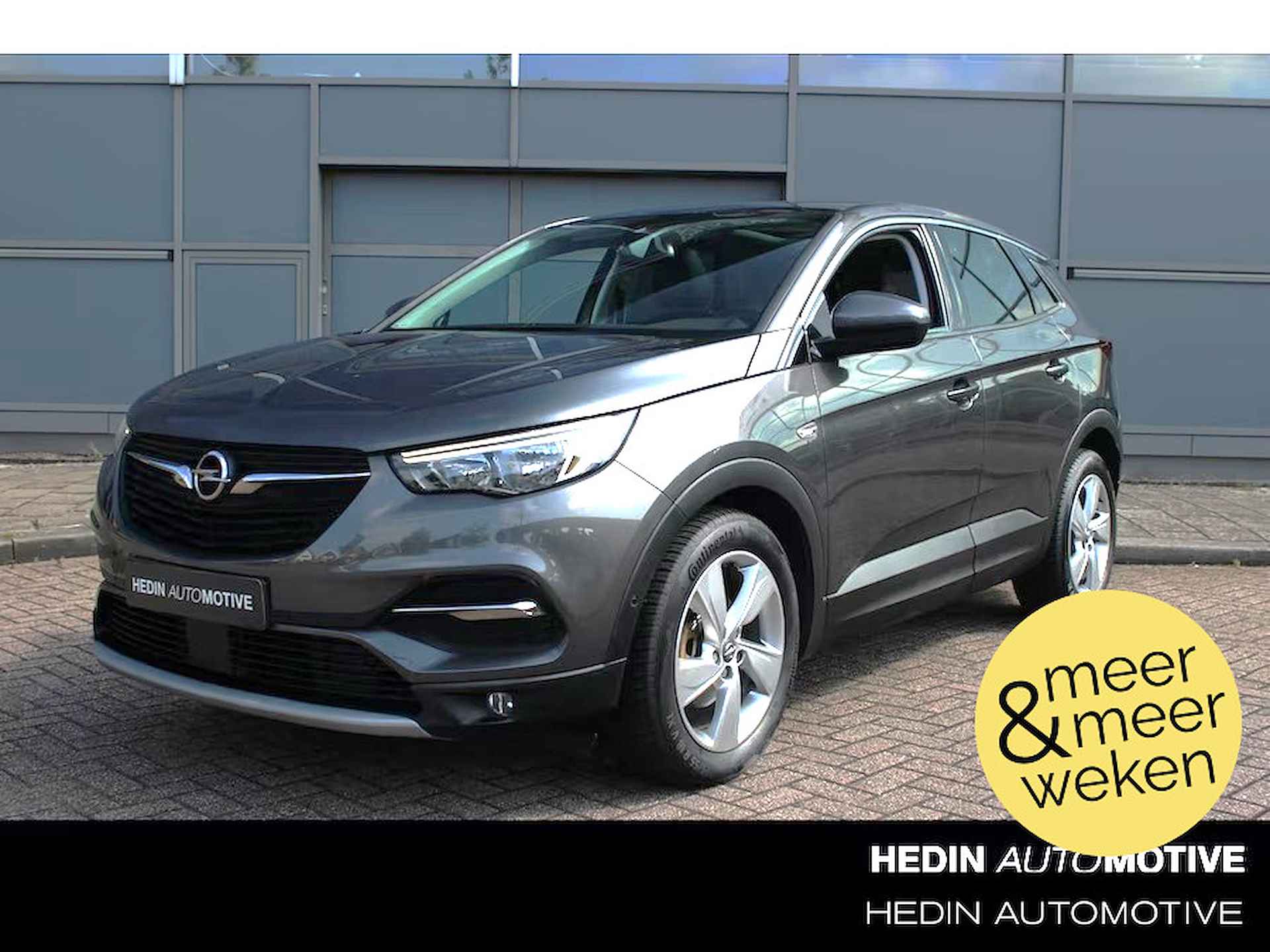 Opel Grandland X BOVAG 40-Puntencheck