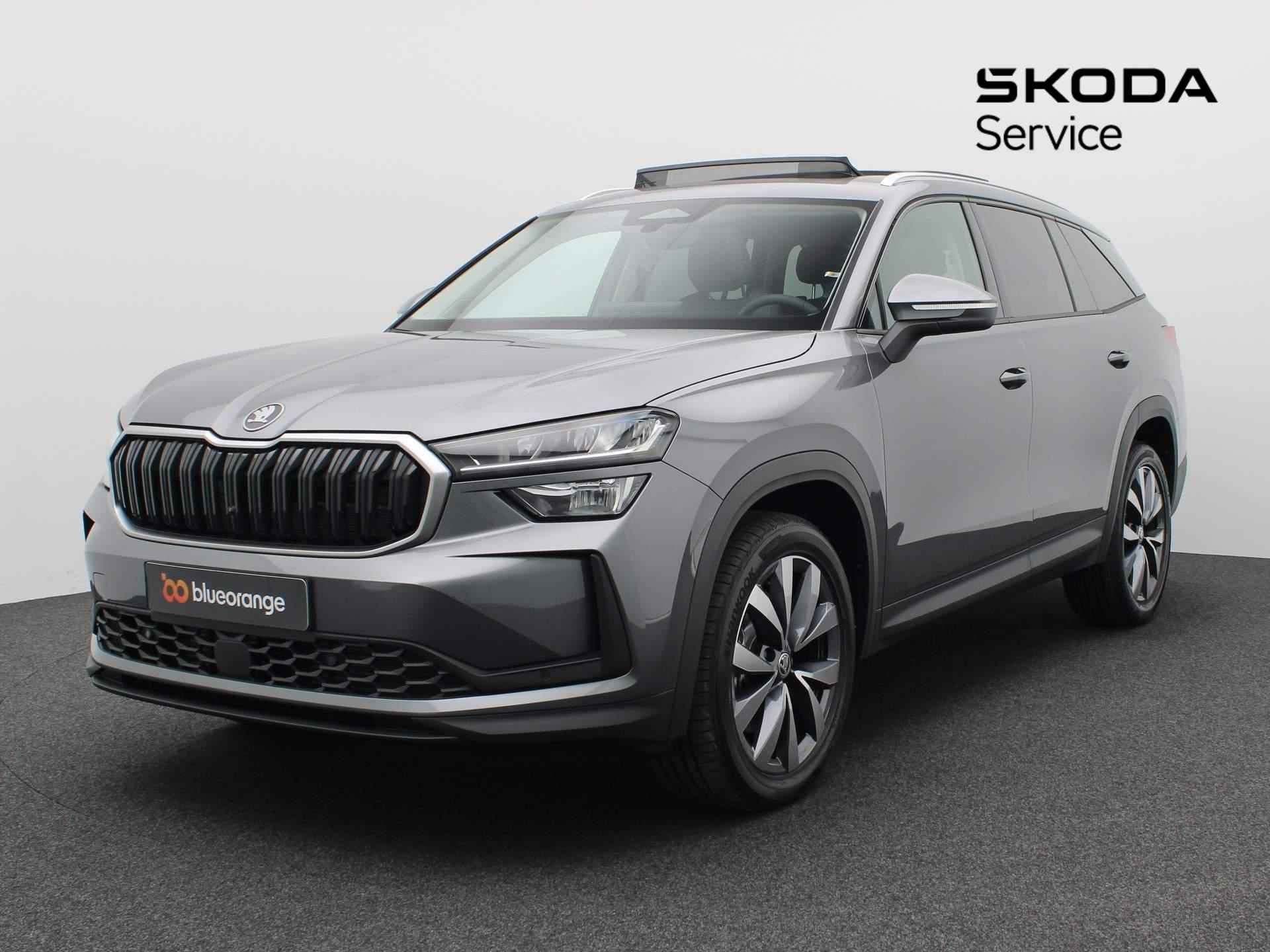 Škoda Kodiaq BOVAG 40-Puntencheck