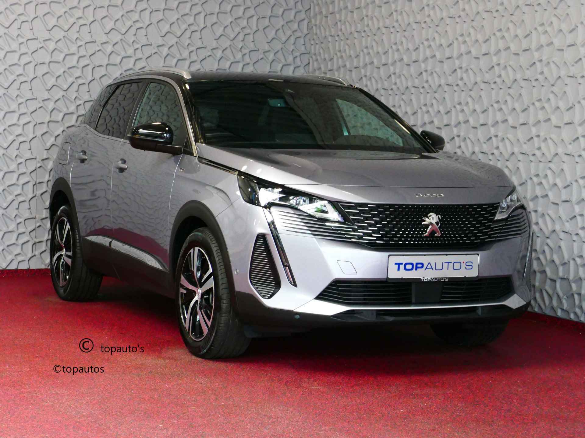 Peugeot 3008 BOVAG 40-Puntencheck