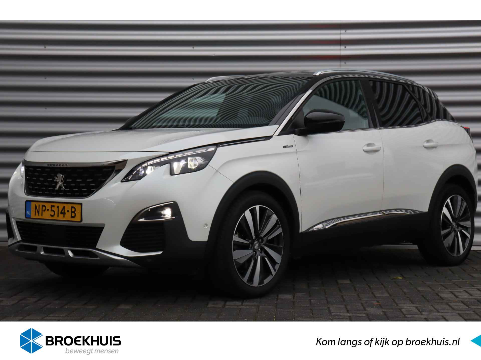 Peugeot 3008 BOVAG 40-Puntencheck