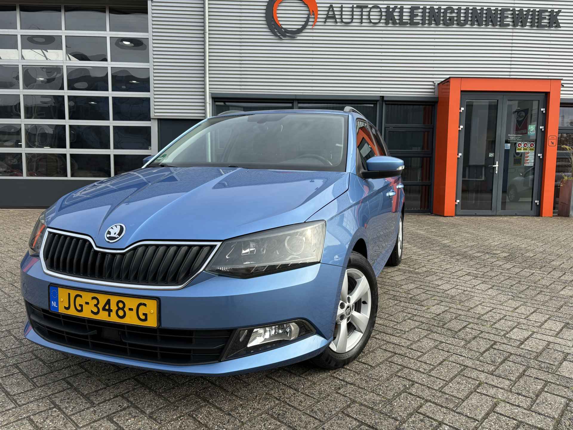 Škoda Fabia BOVAG 40-Puntencheck