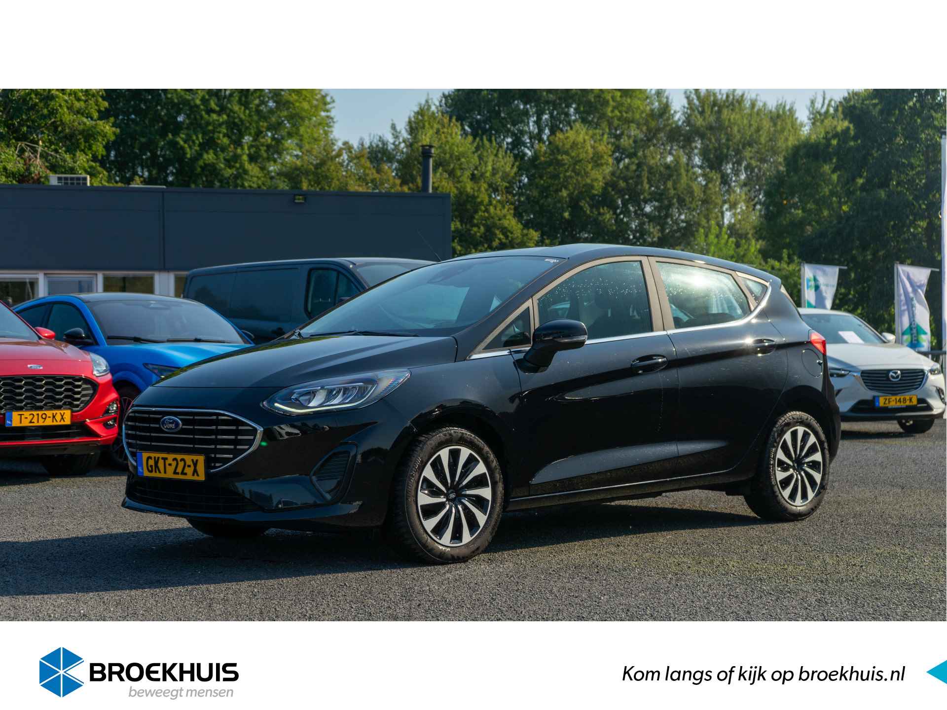 Ford Fiesta BOVAG 40-Puntencheck