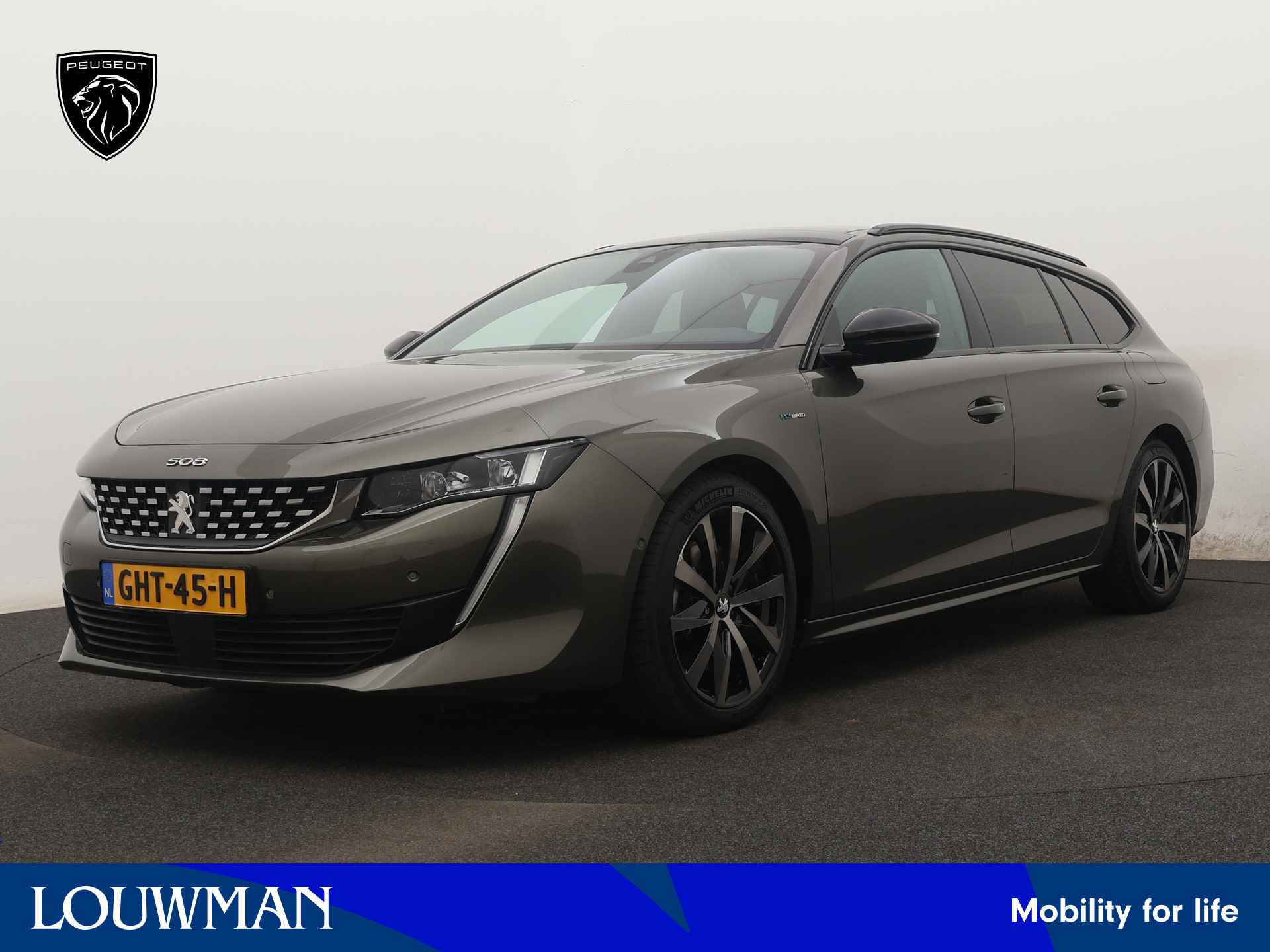 Peugeot 508 BOVAG 40-Puntencheck