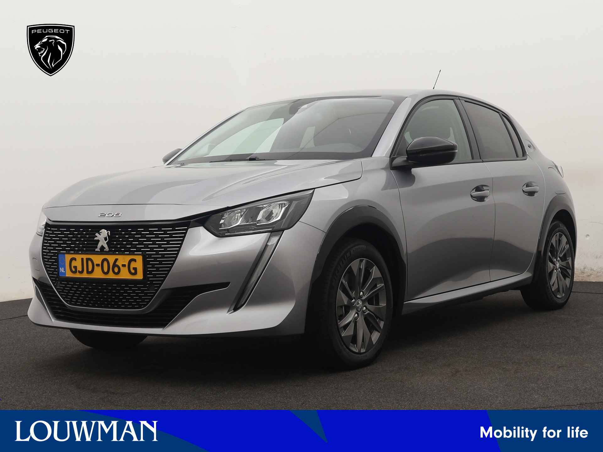 Peugeot e-208 BOVAG 40-Puntencheck