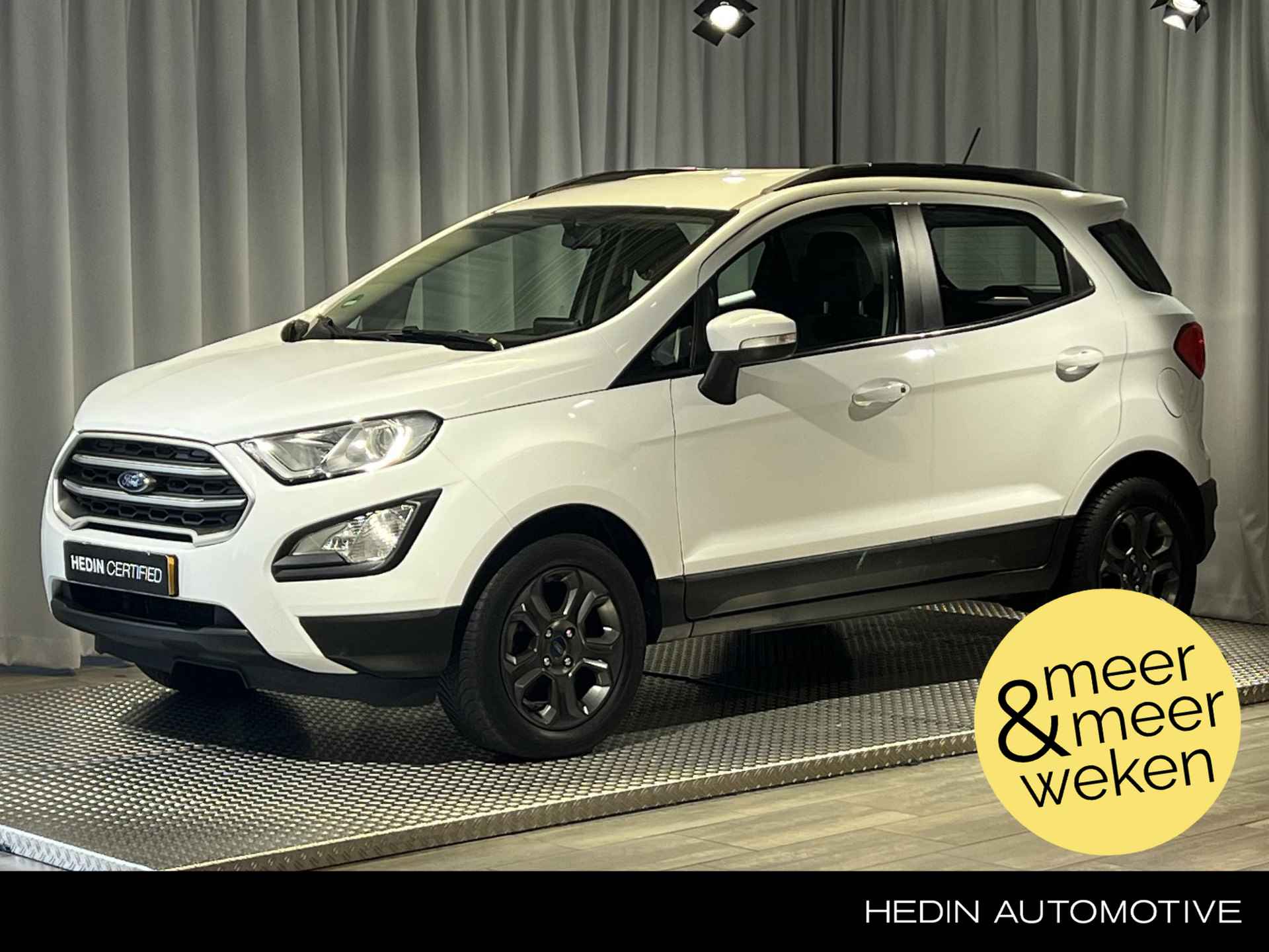 Ford EcoSport BOVAG 40-Puntencheck