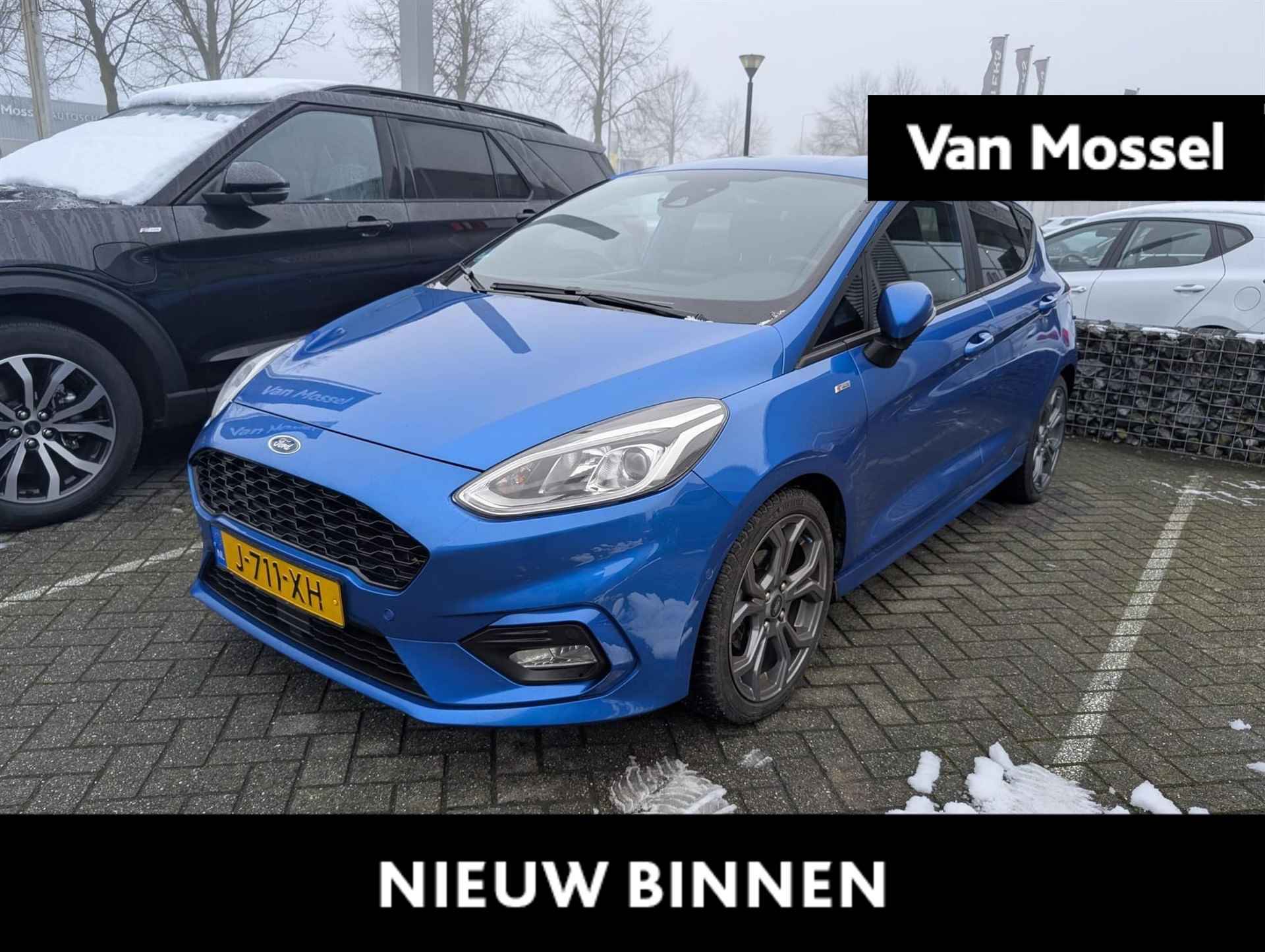 Ford Fiesta BOVAG 40-Puntencheck