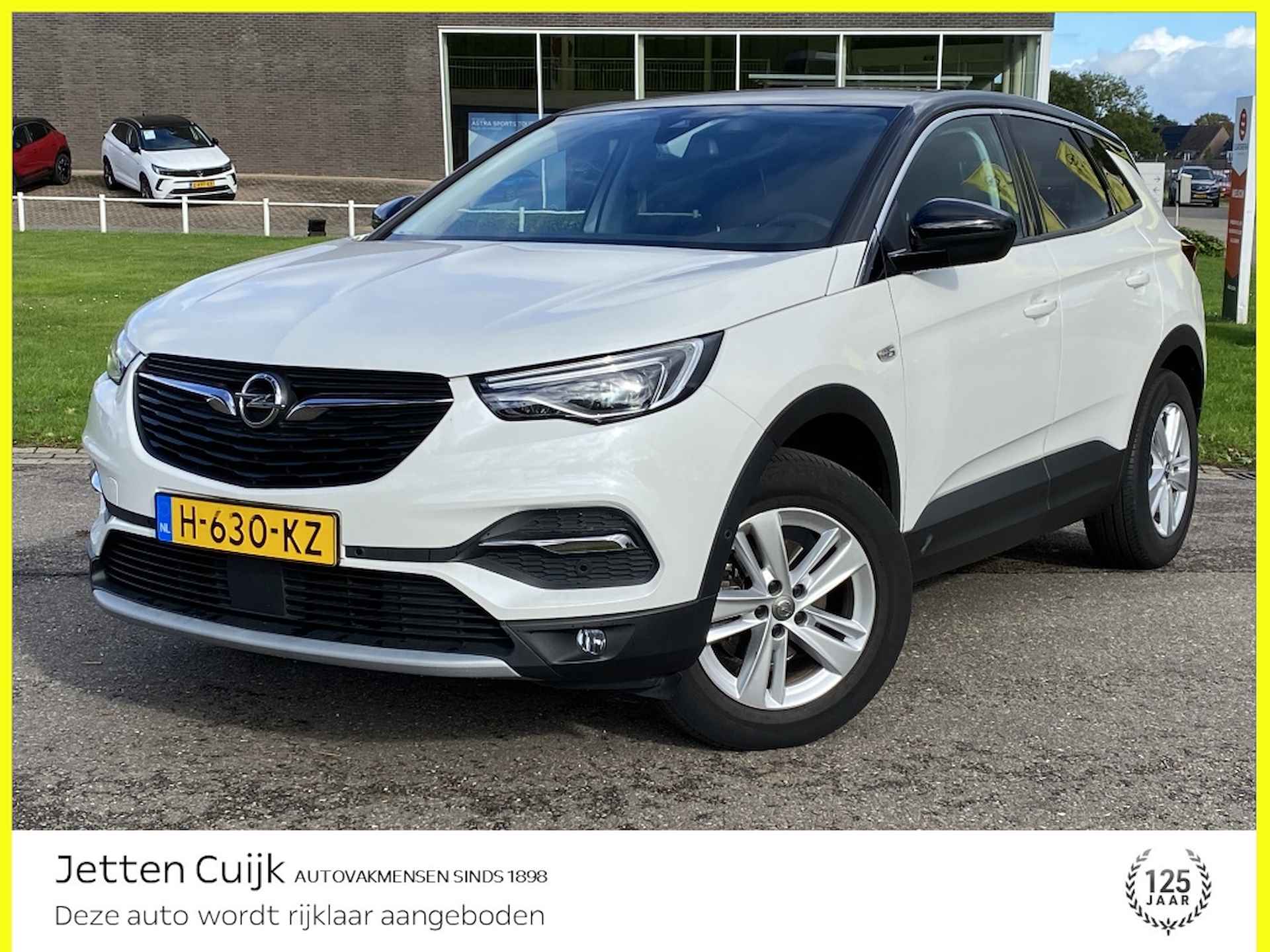 Opel Grandland X