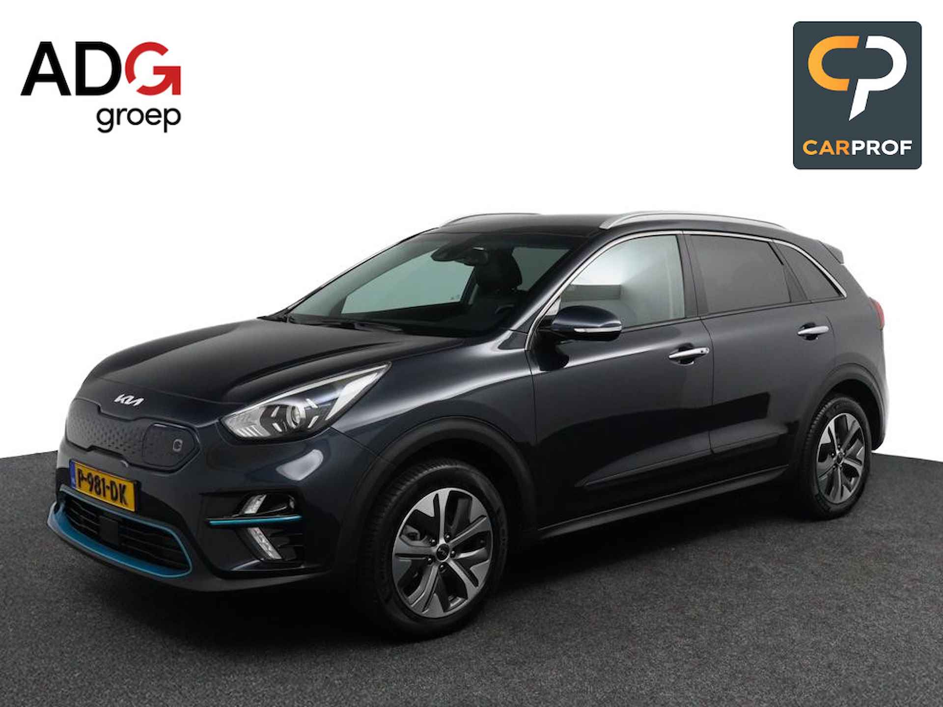 Kia e-Niro BOVAG 40-Puntencheck