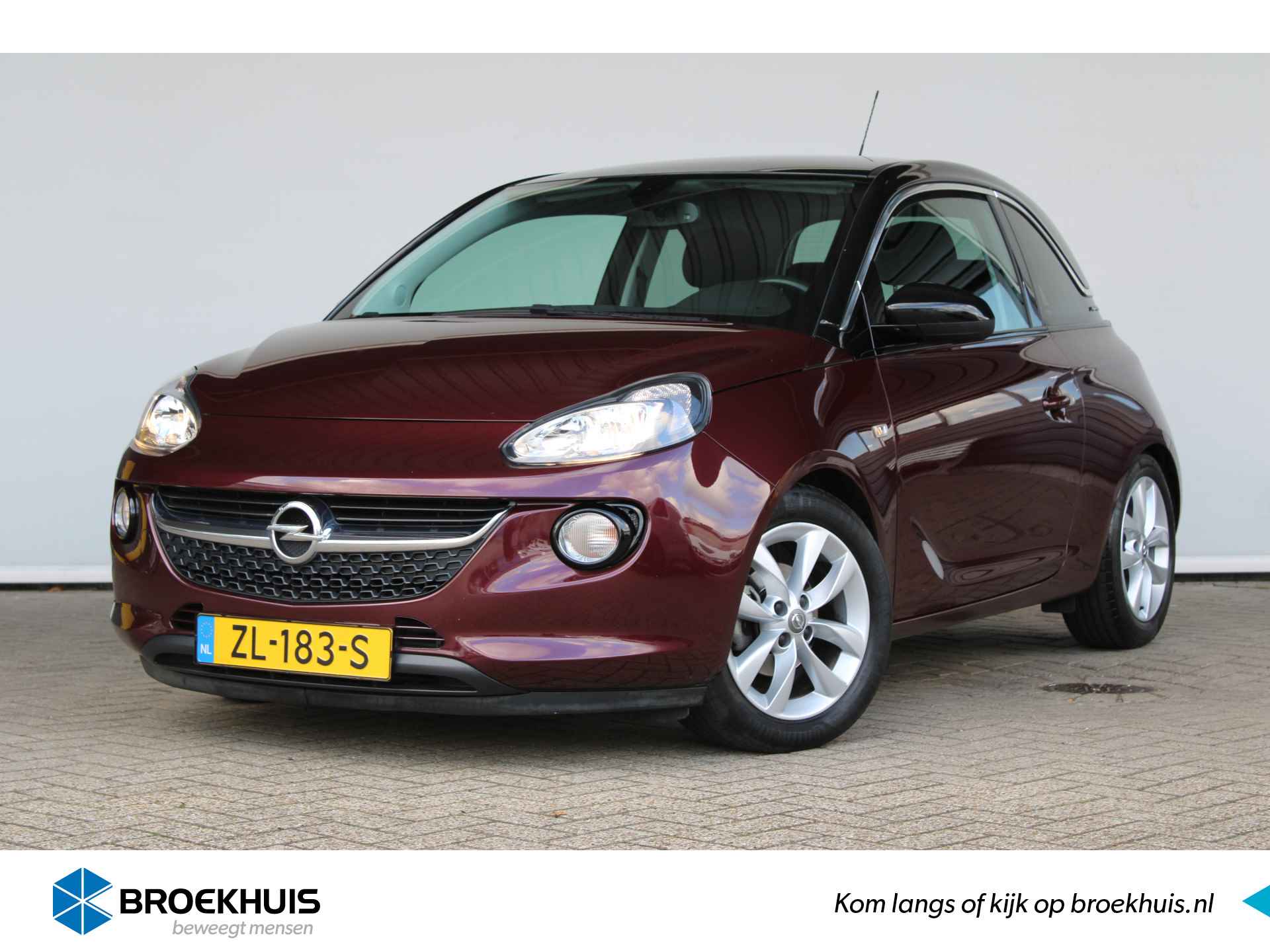 Opel Adam BOVAG 40-Puntencheck