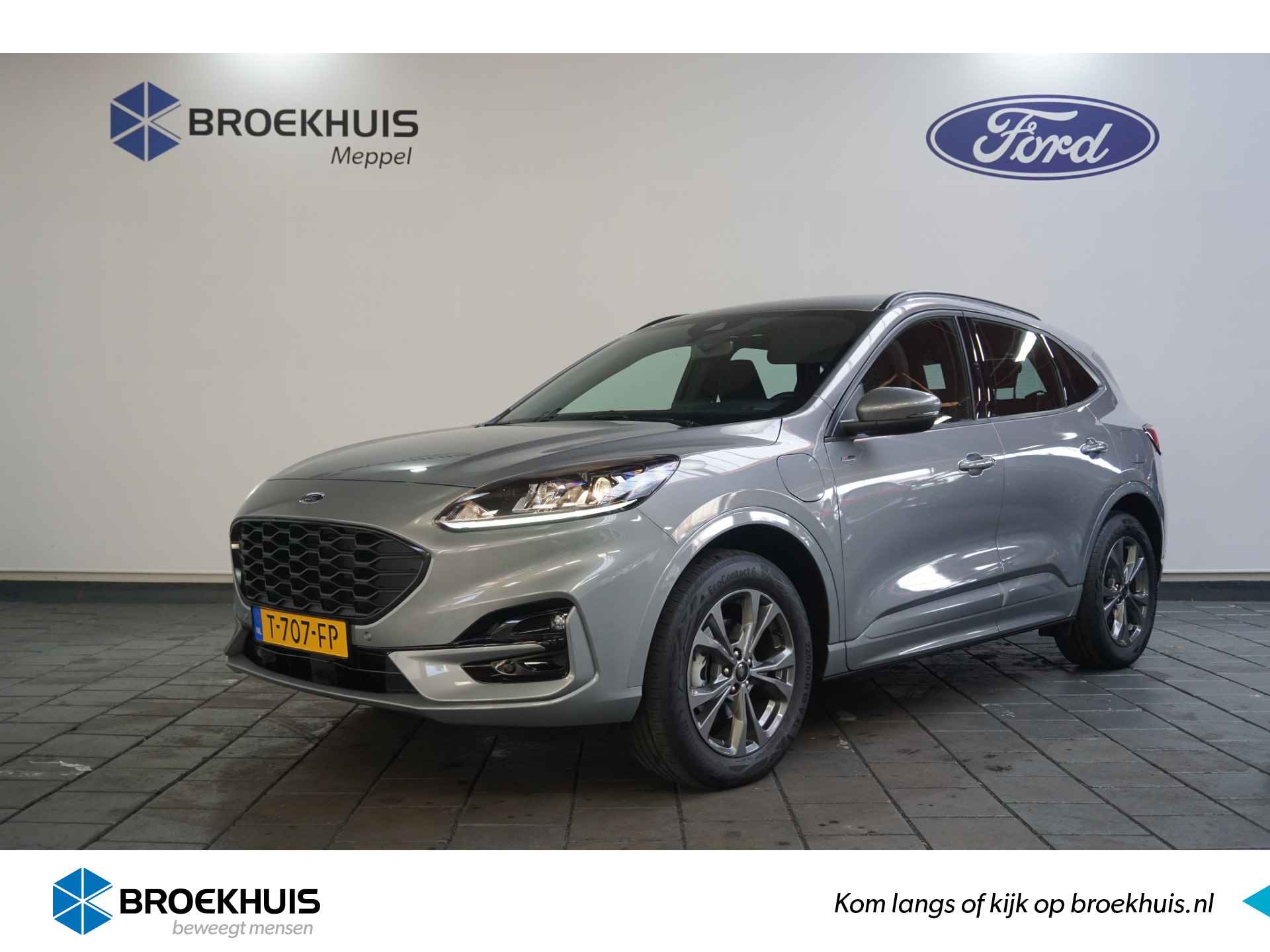 Ford Kuga BOVAG 40-Puntencheck